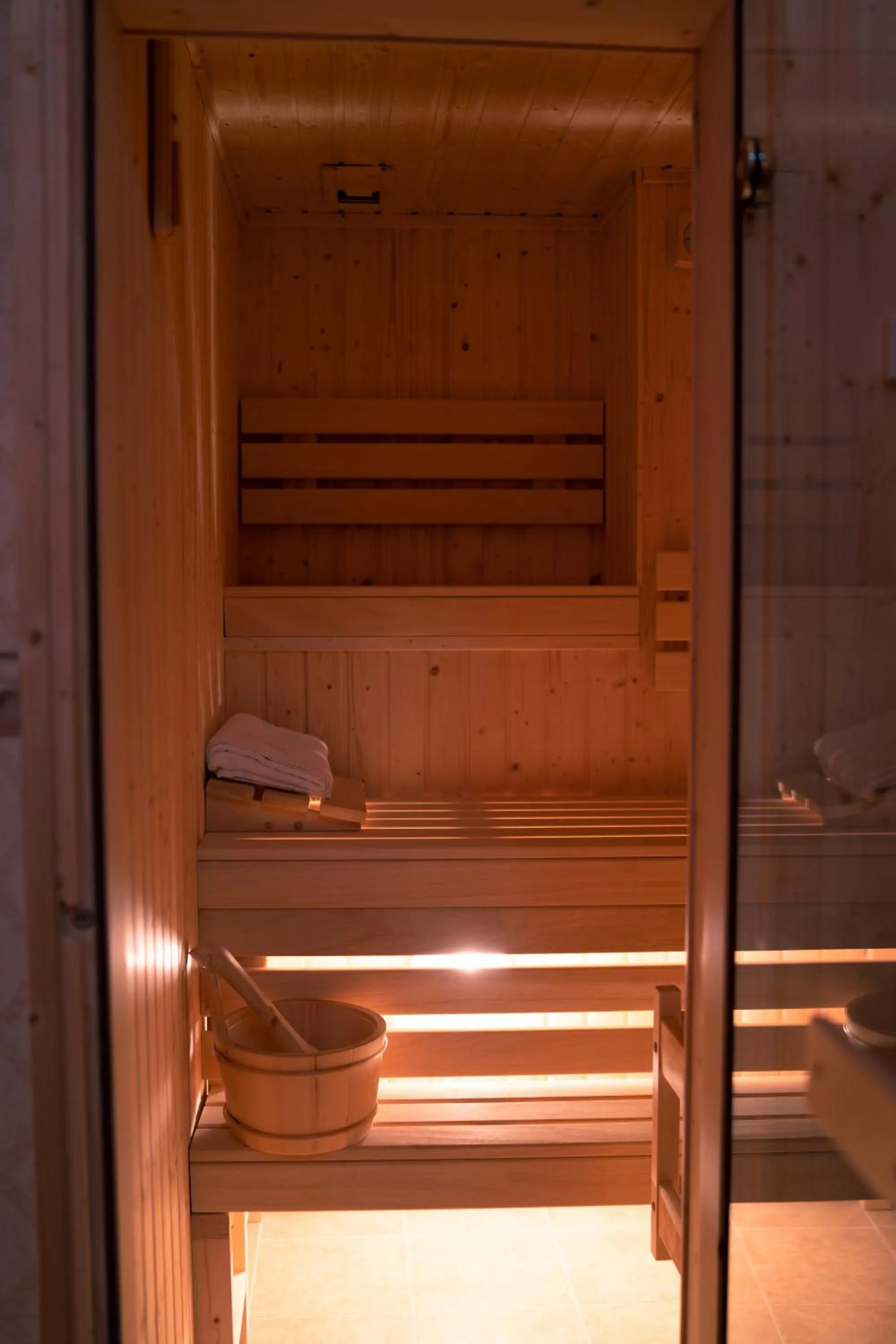 Sauna in Hotel & Apartments Ventus Rosa
