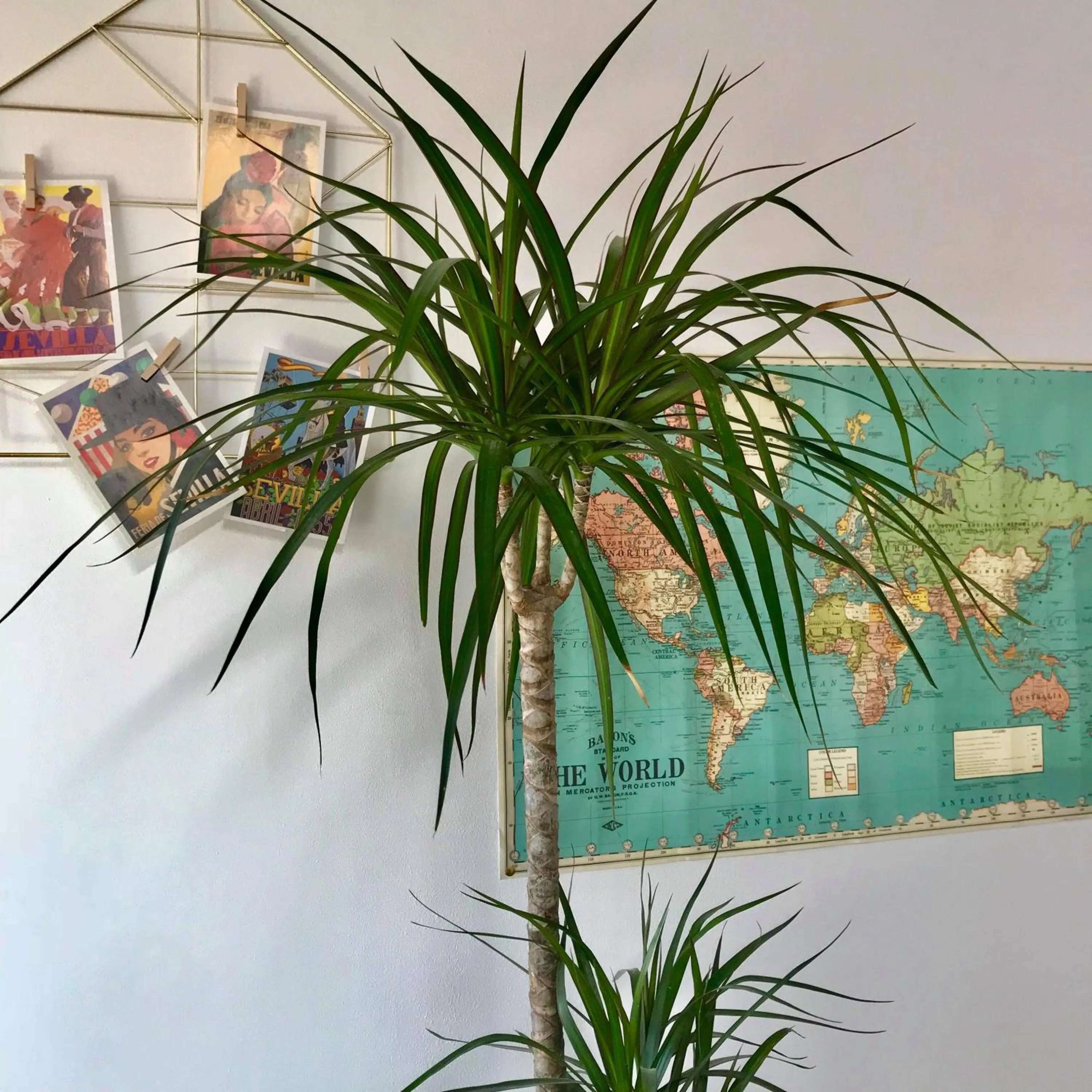 Decorative detail in Camino Home 2