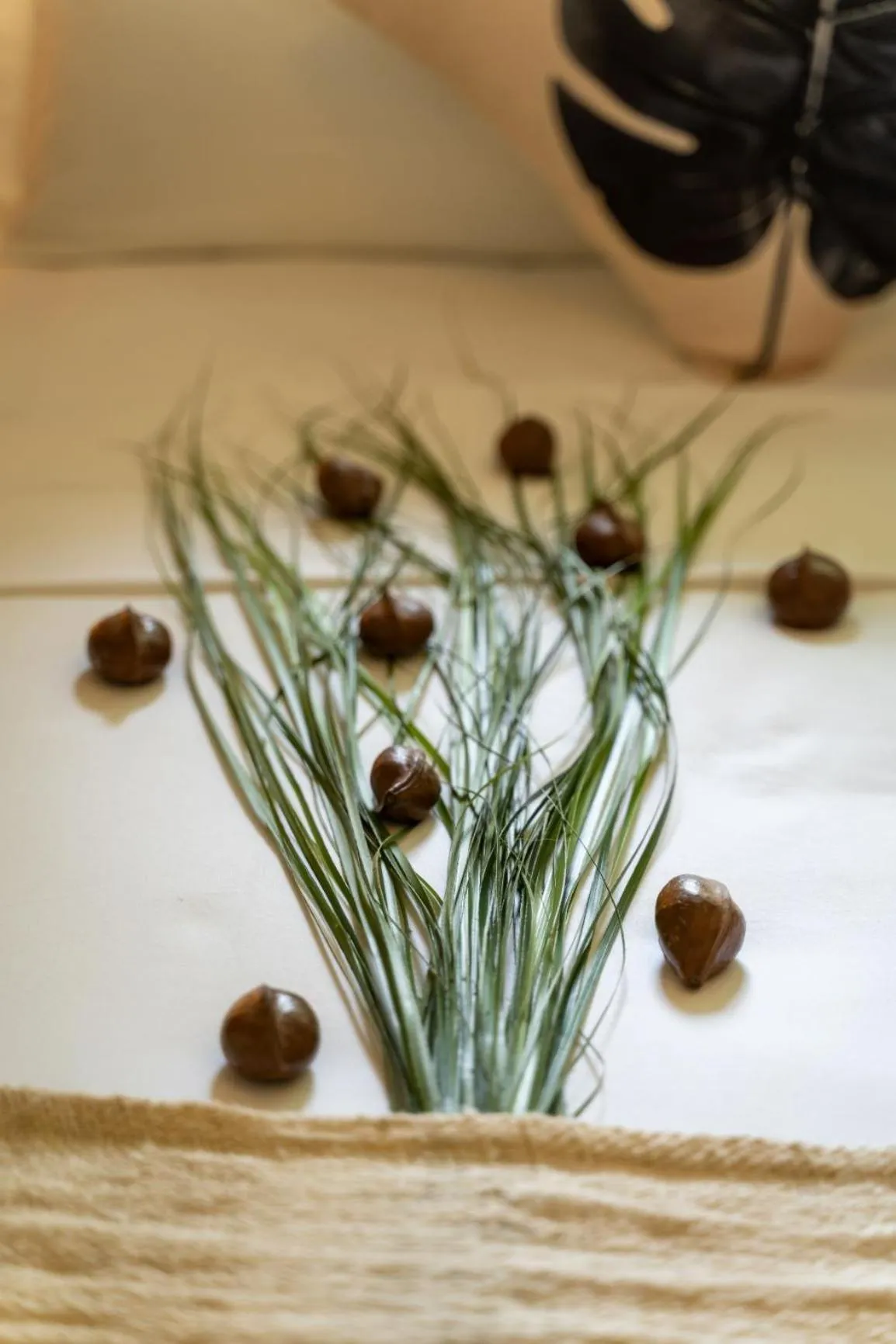 Decorative detail in Bliss Hotel Praslin