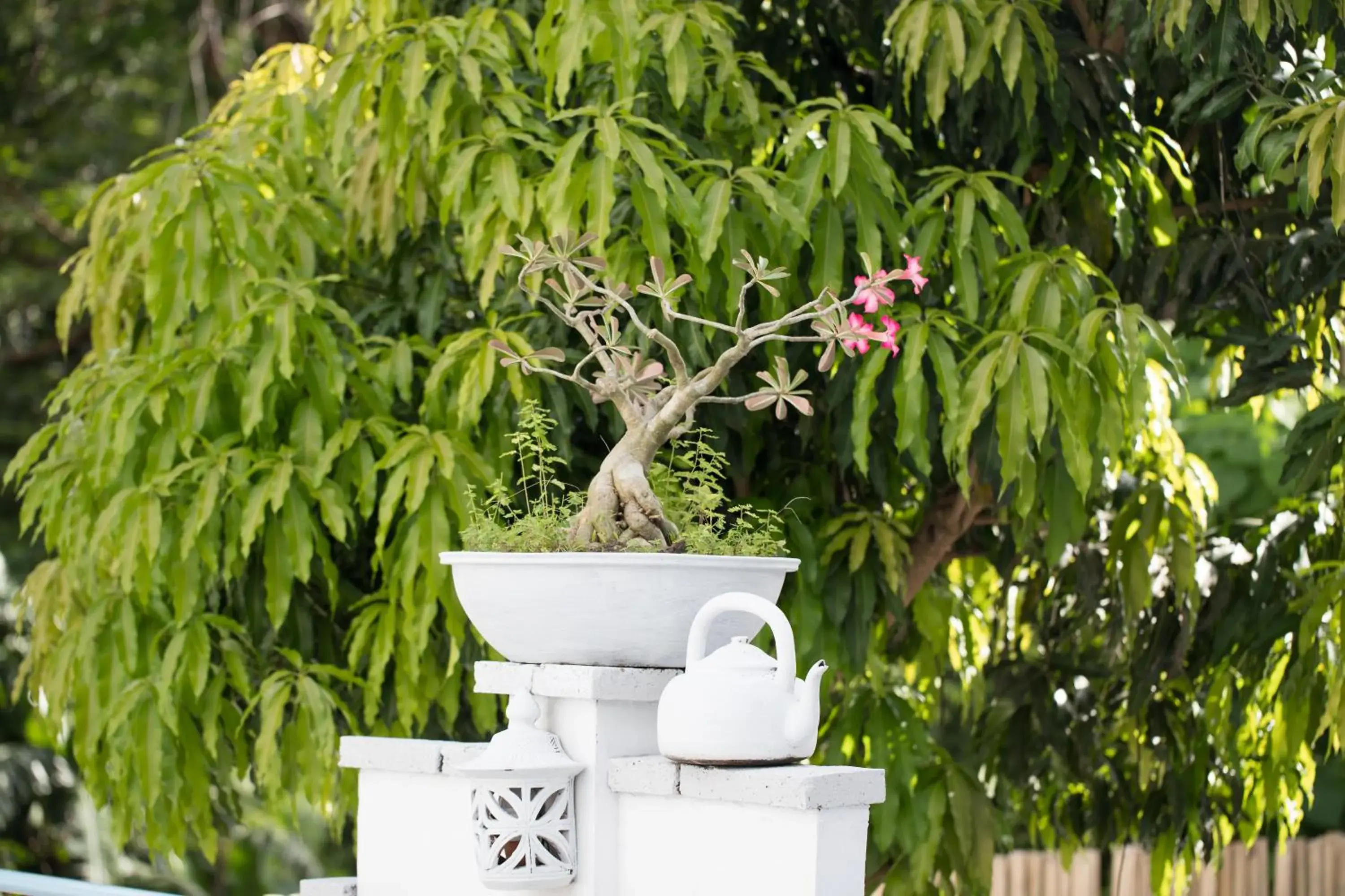 Property building in Baan Suan Villa 1 Property building in Baan Suan Villa 1