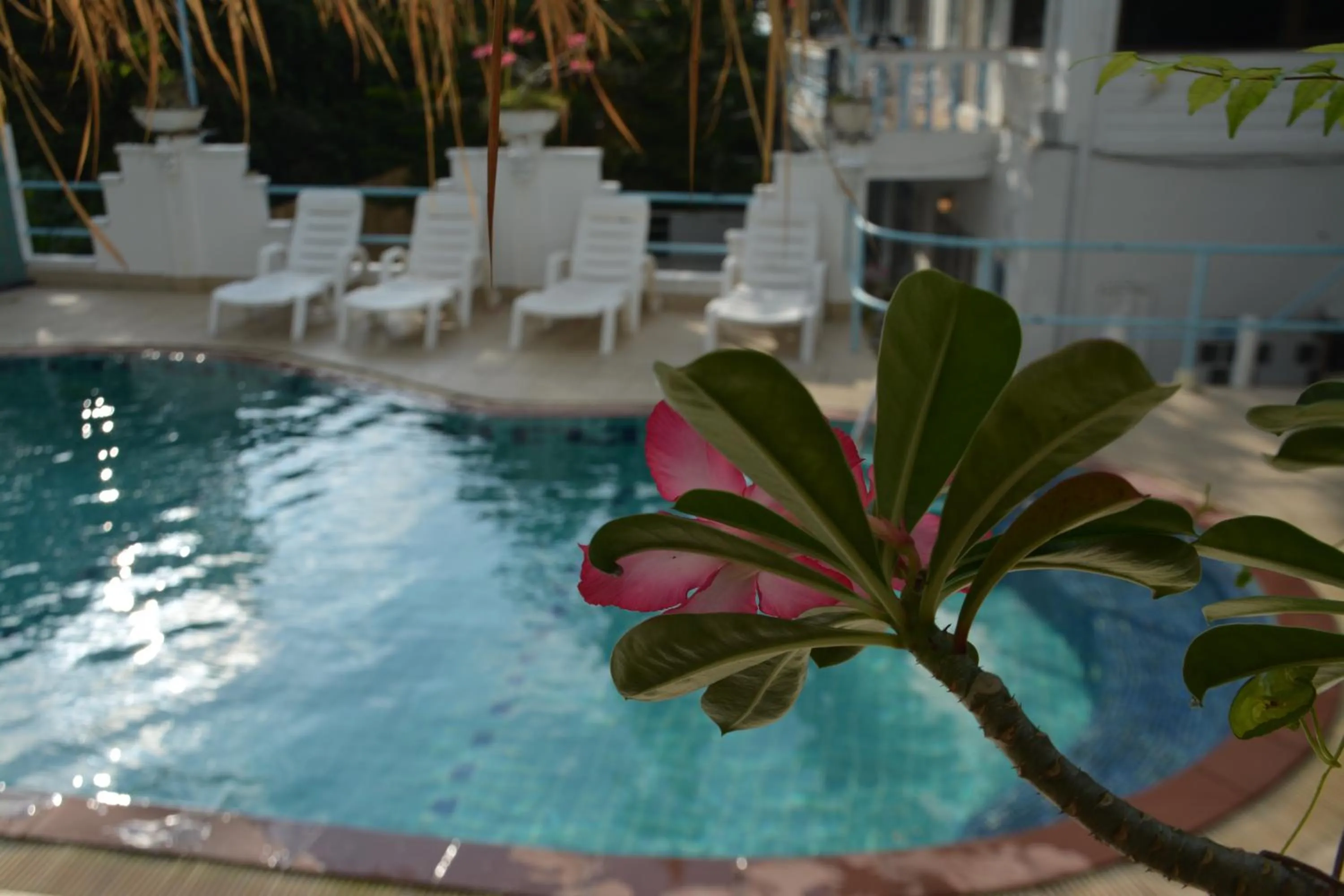 Swimming pool in Baan Suan Villa 1