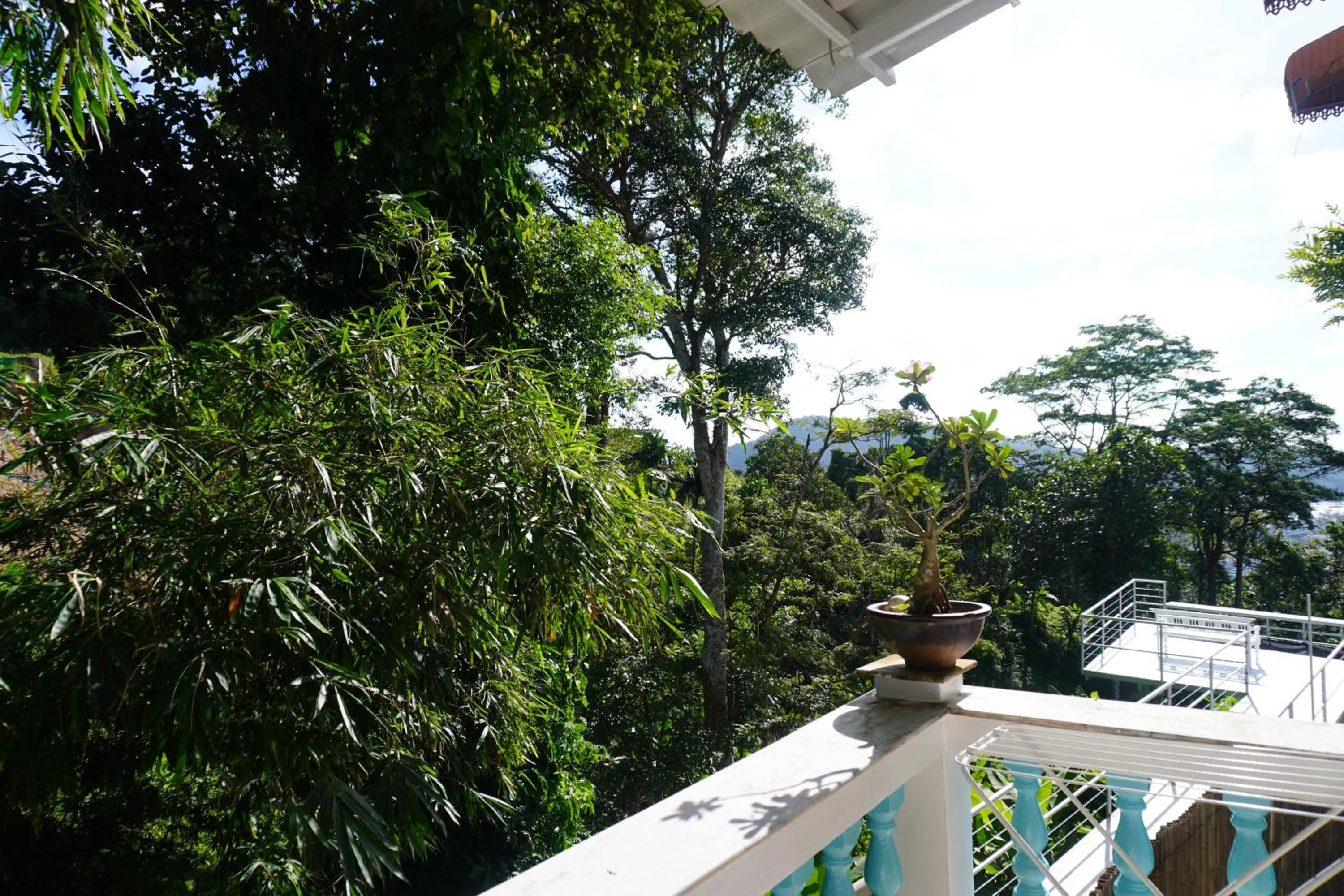 Day in Baan Suan Villa 1