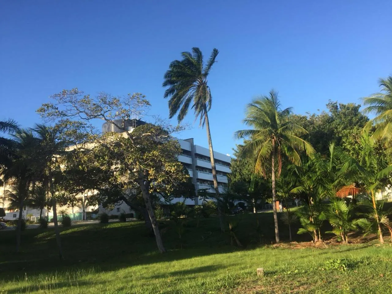 Swimming pool in Blue Marlin Resort&Spa