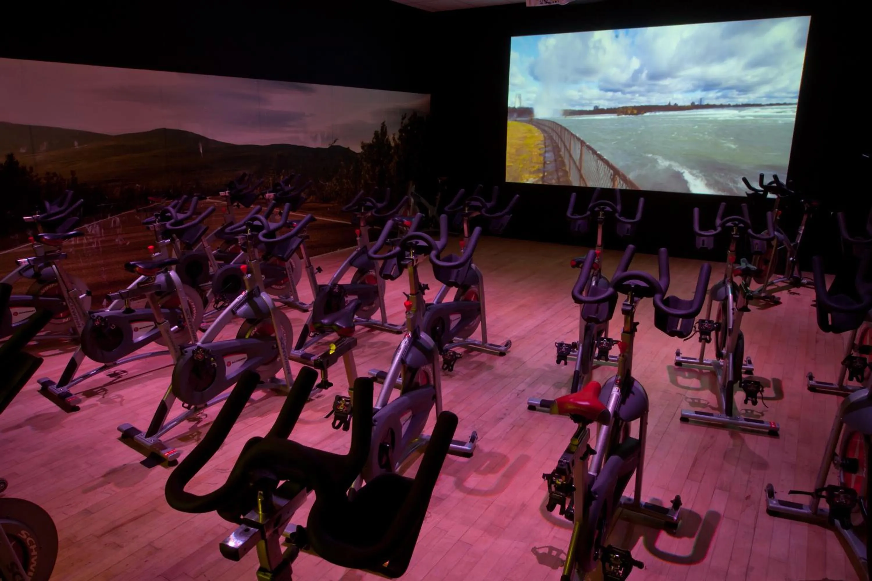 Fitness centre/facilities in Wrightington Hotel, Health Club & Spa