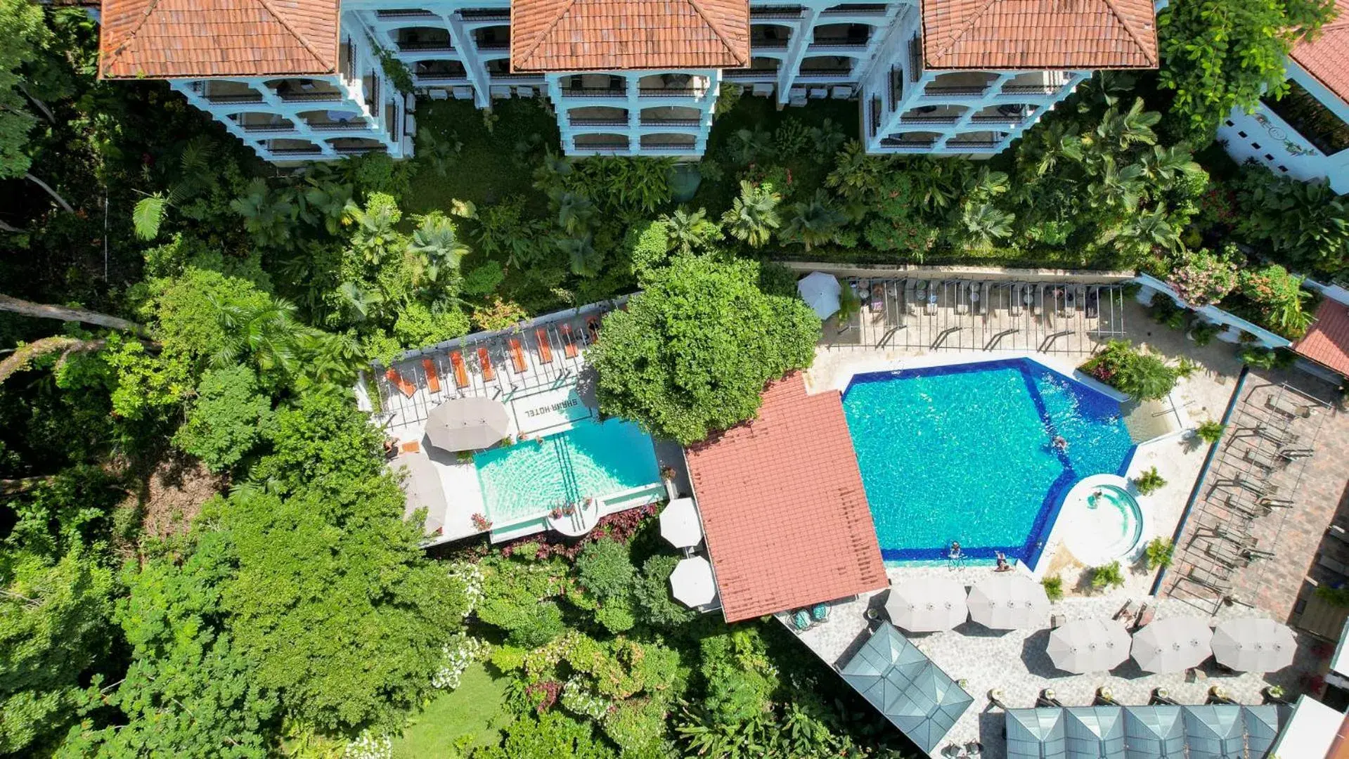 Bird's eye view in Shana by the Beach Manuel Antonio Bird's eye view in Shana by the Beach Manuel Antonio