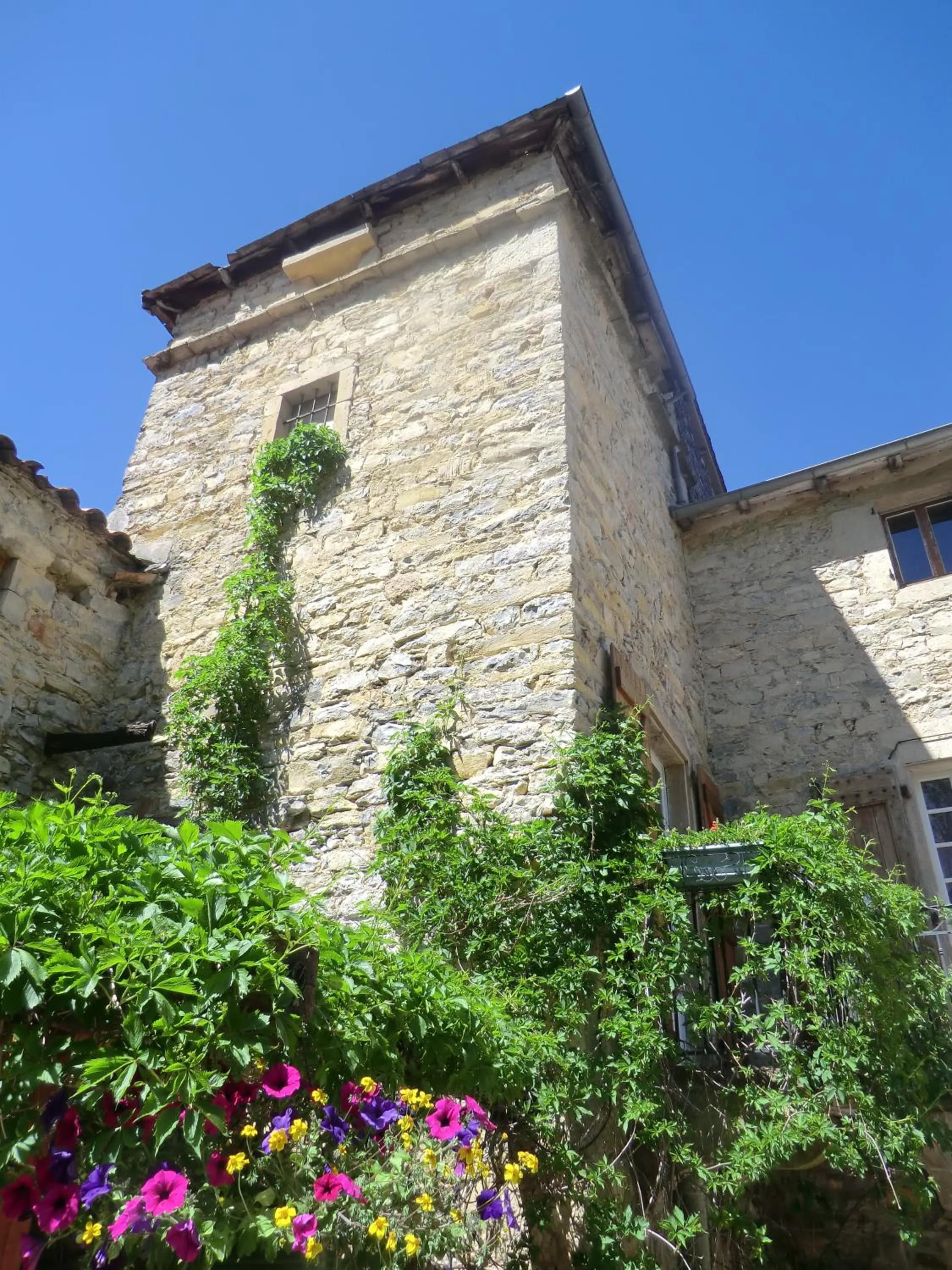 Facade/entrance in Domaine d'Alcapiès