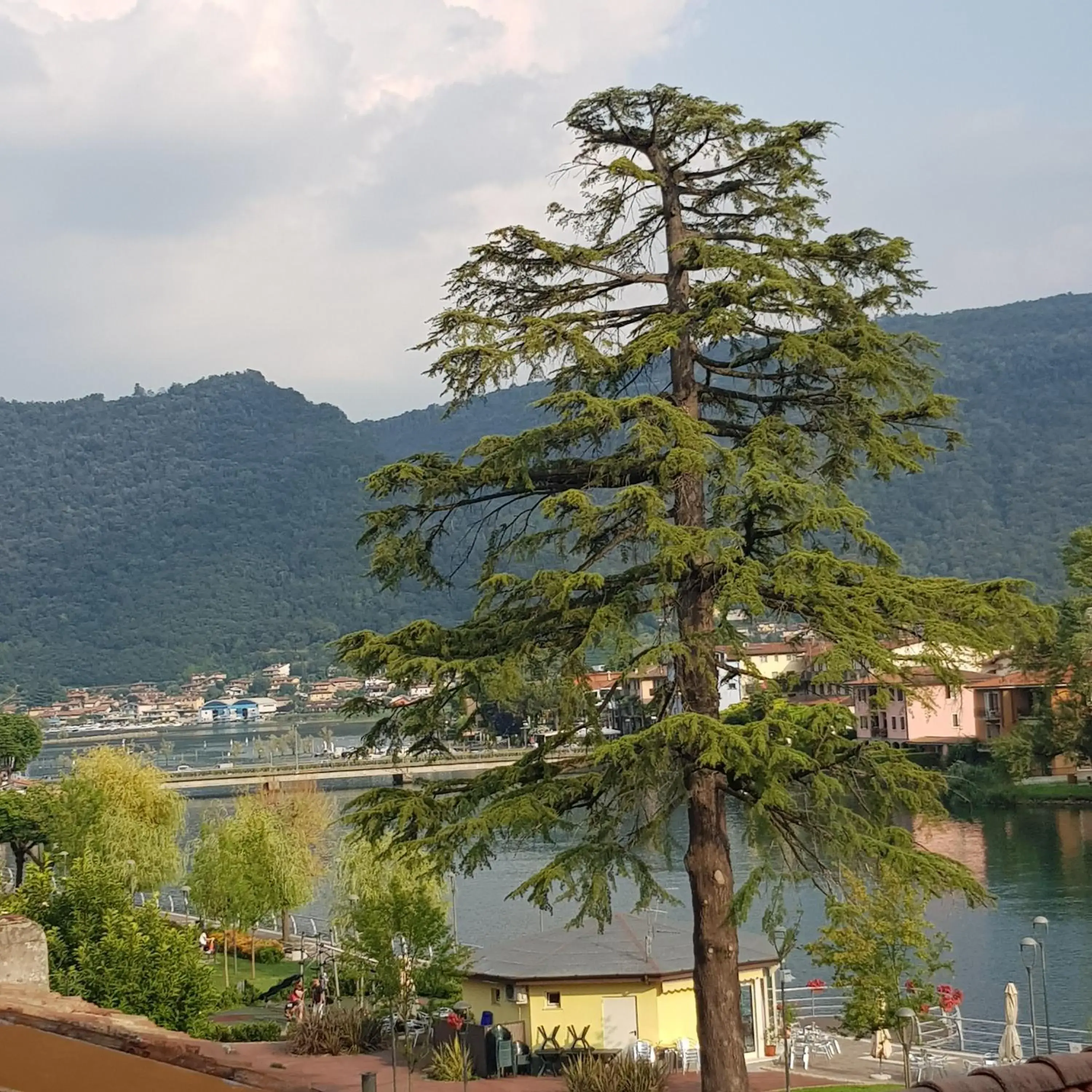 Standard Double Room with Shared Bathroom - single occupancy in B&B I Lazzarini Standard Double Room with Shared Bathroom - single occupancy in B&B I Lazzarini