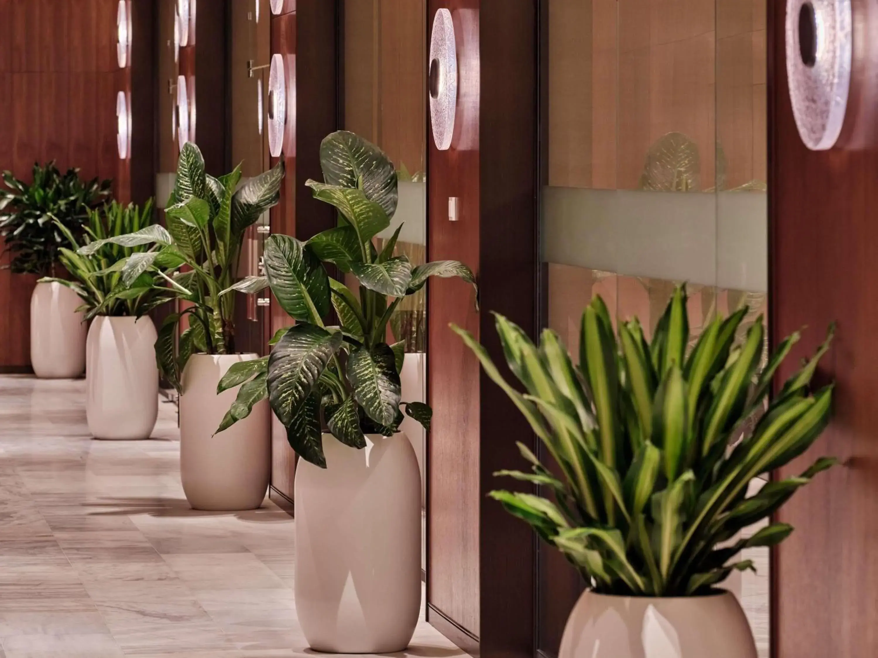 Fitness centre/facilities in Swissotel Tashkent Fitness centre/facilities in Swissotel Tashkent