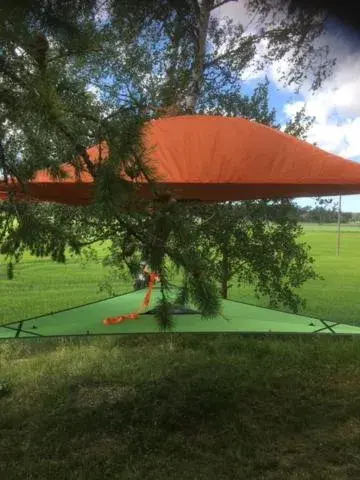 Kansakoulu Kansakoulu