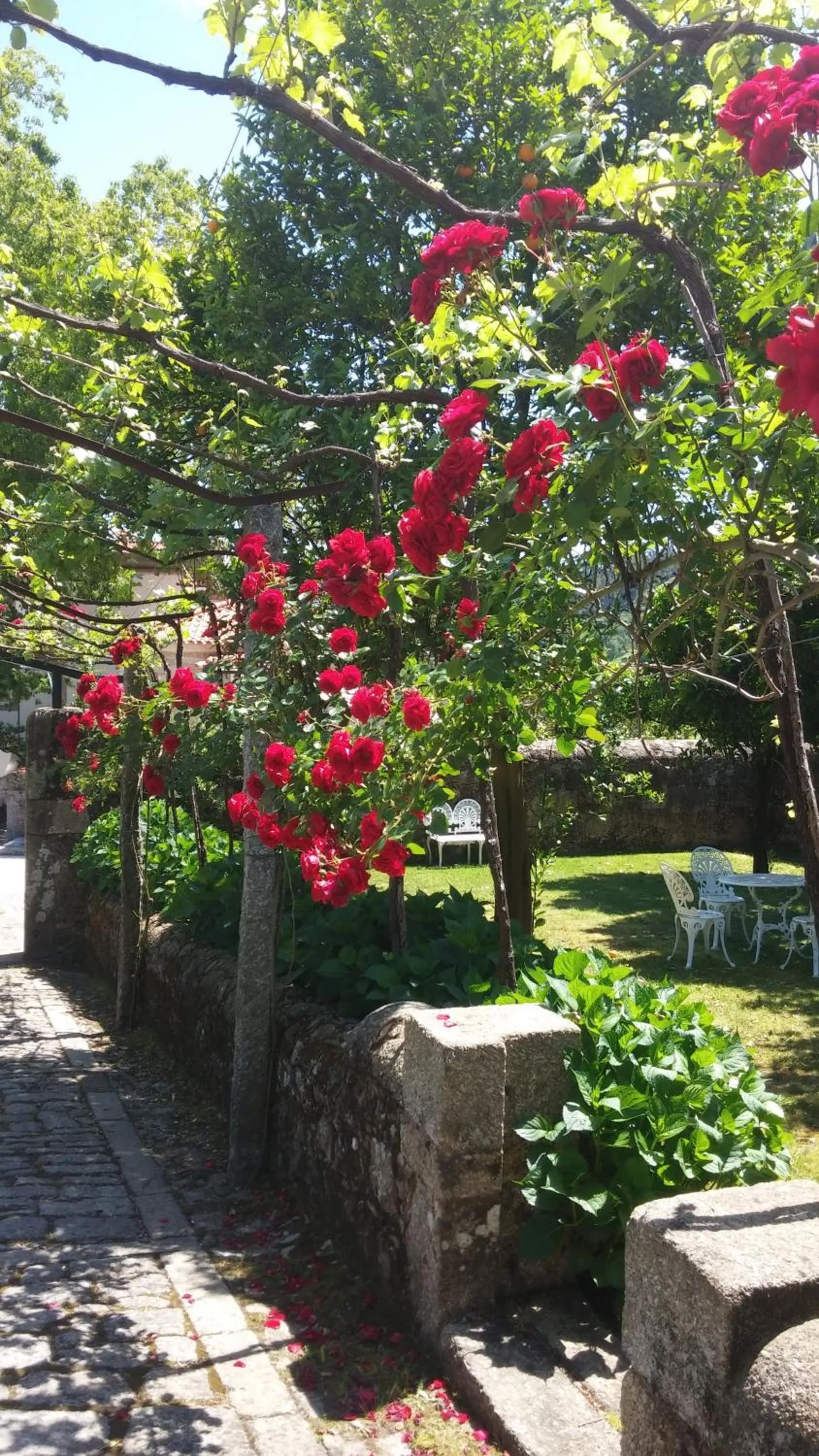 Day in Quinta de Malta