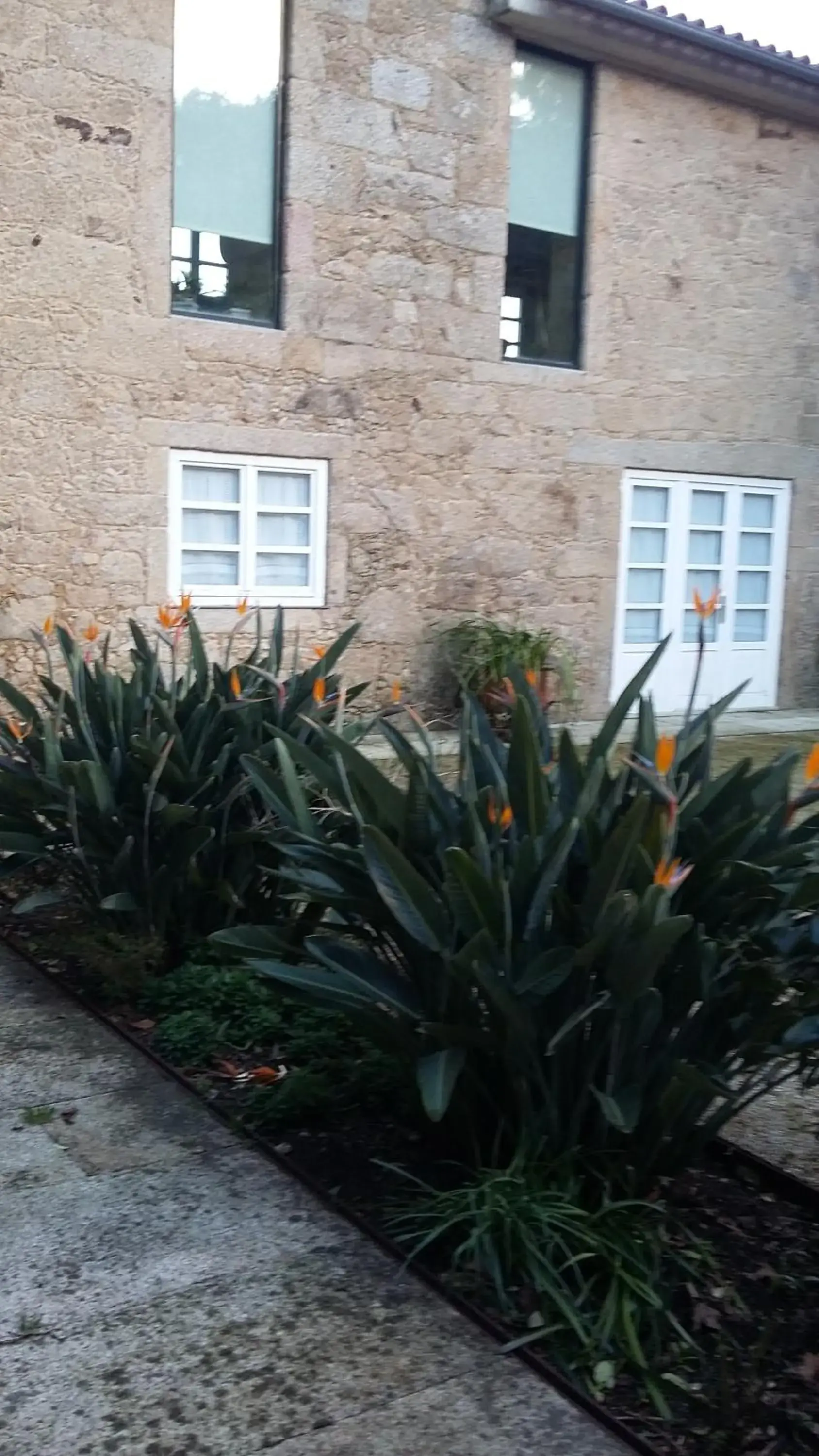 Property building in Quinta de Malta Property building in Quinta de Malta