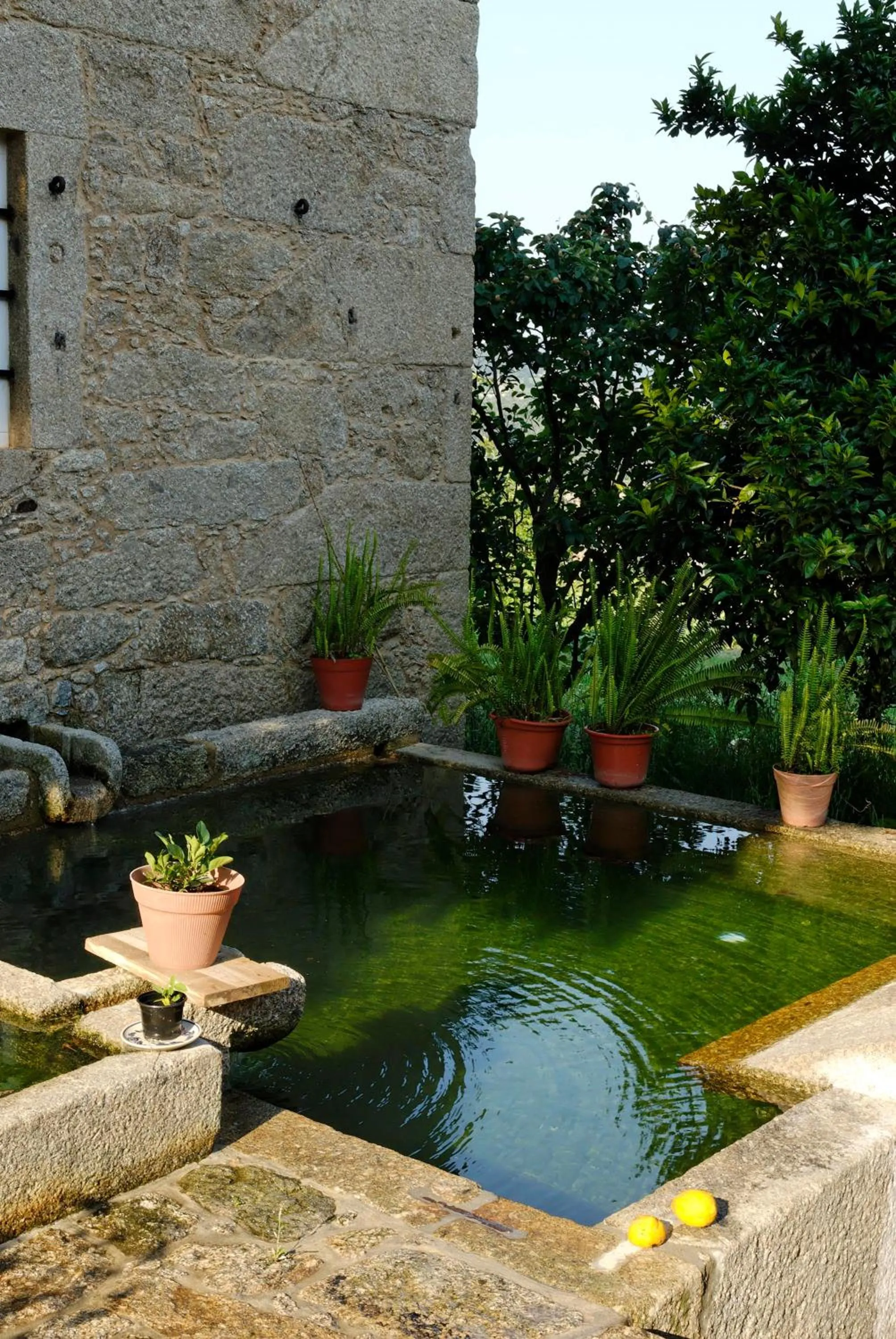 Day in Quinta de Malta