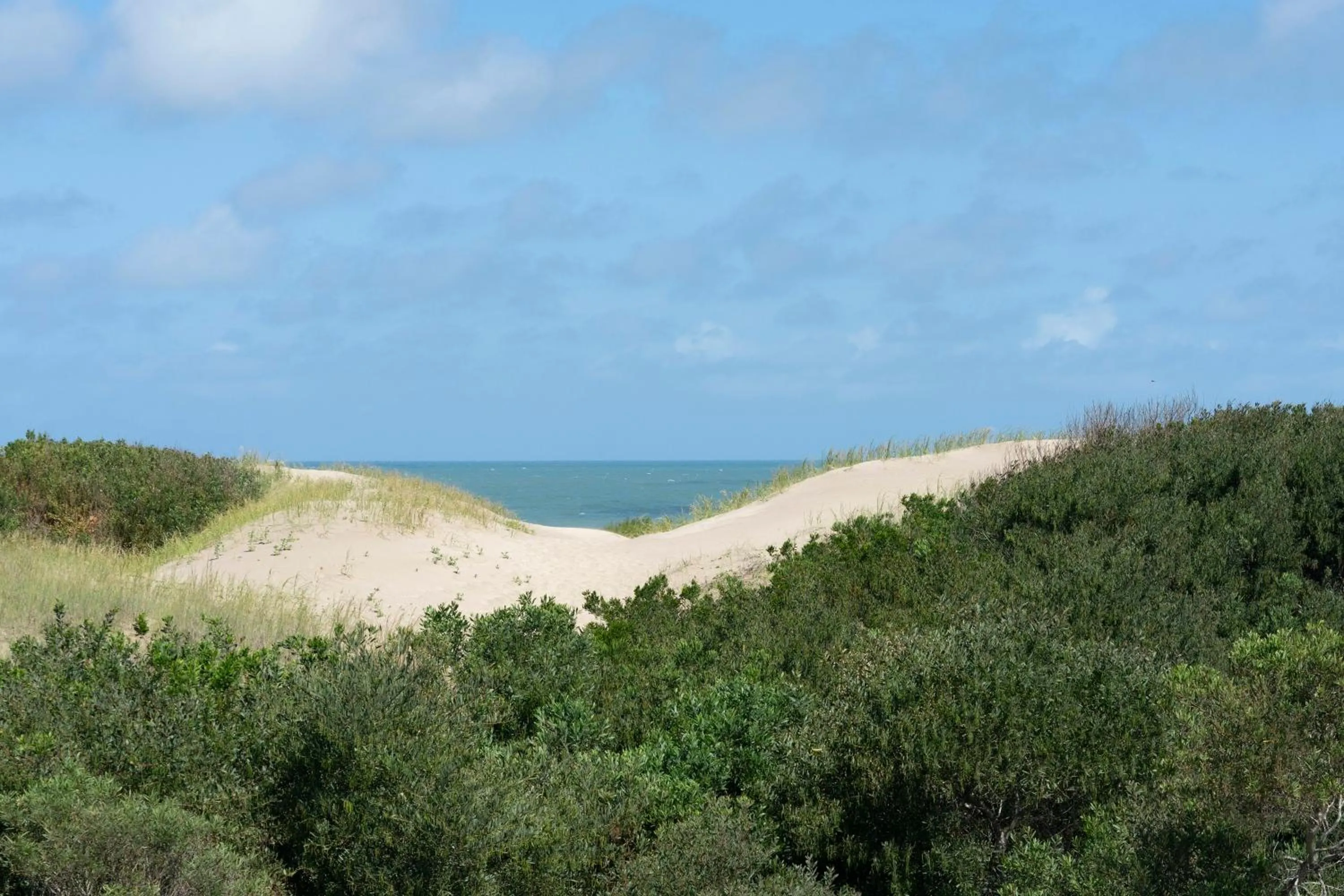 Sea view in Valeria Playa Apart