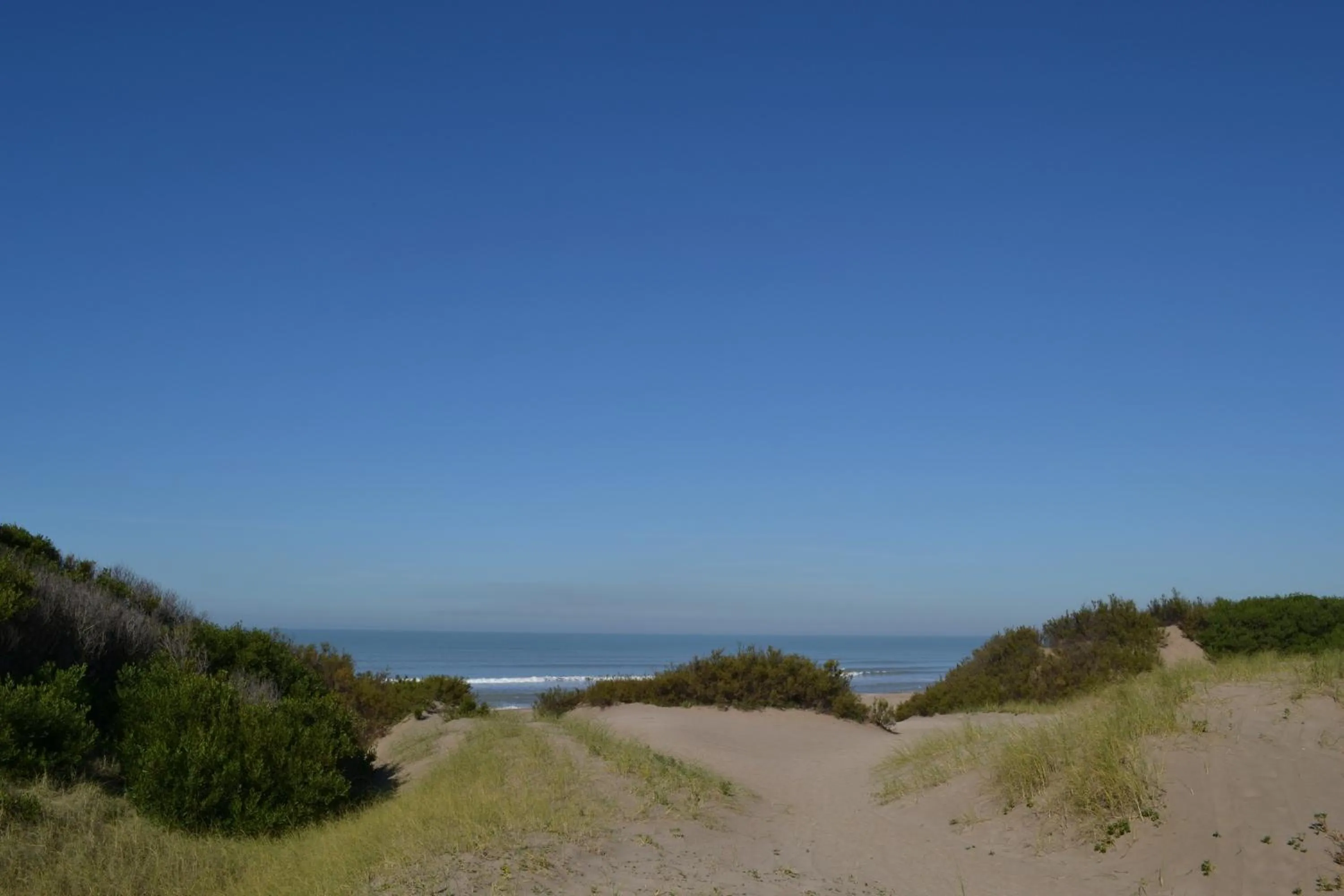 Beach in Valeria Playa Apart