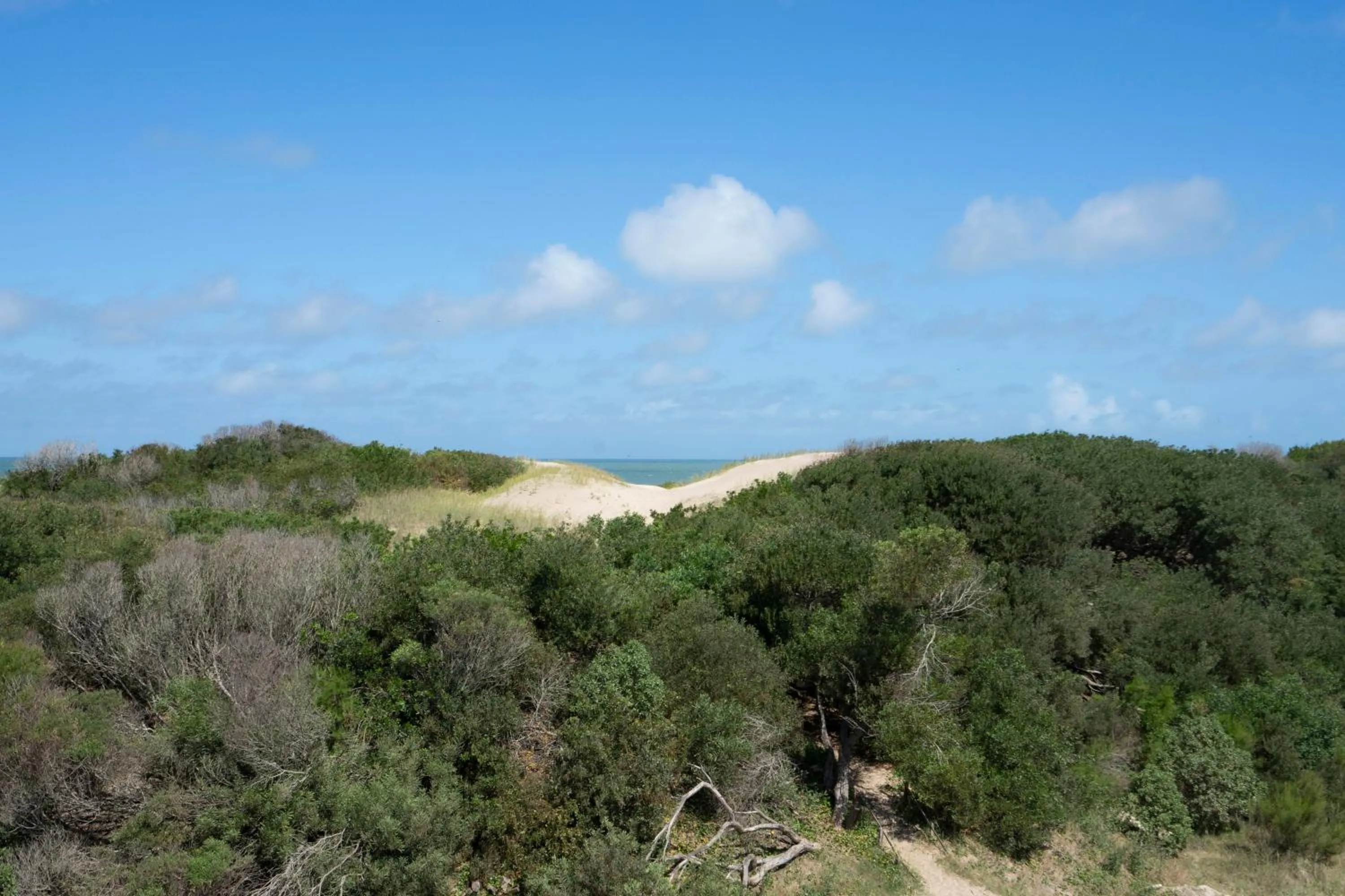 Off site in Valeria Playa Apart