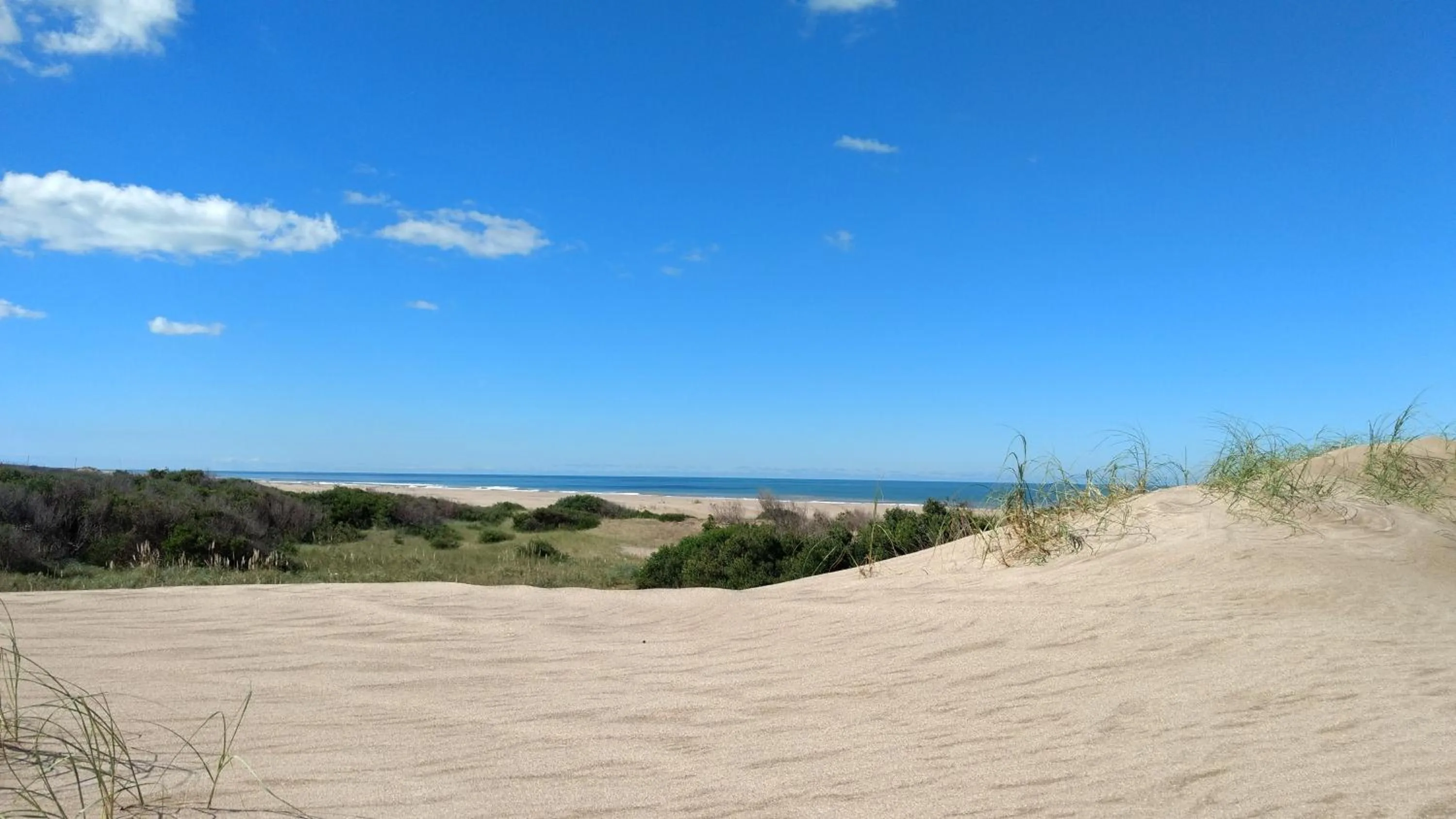 Beach in Valeria Playa Apart