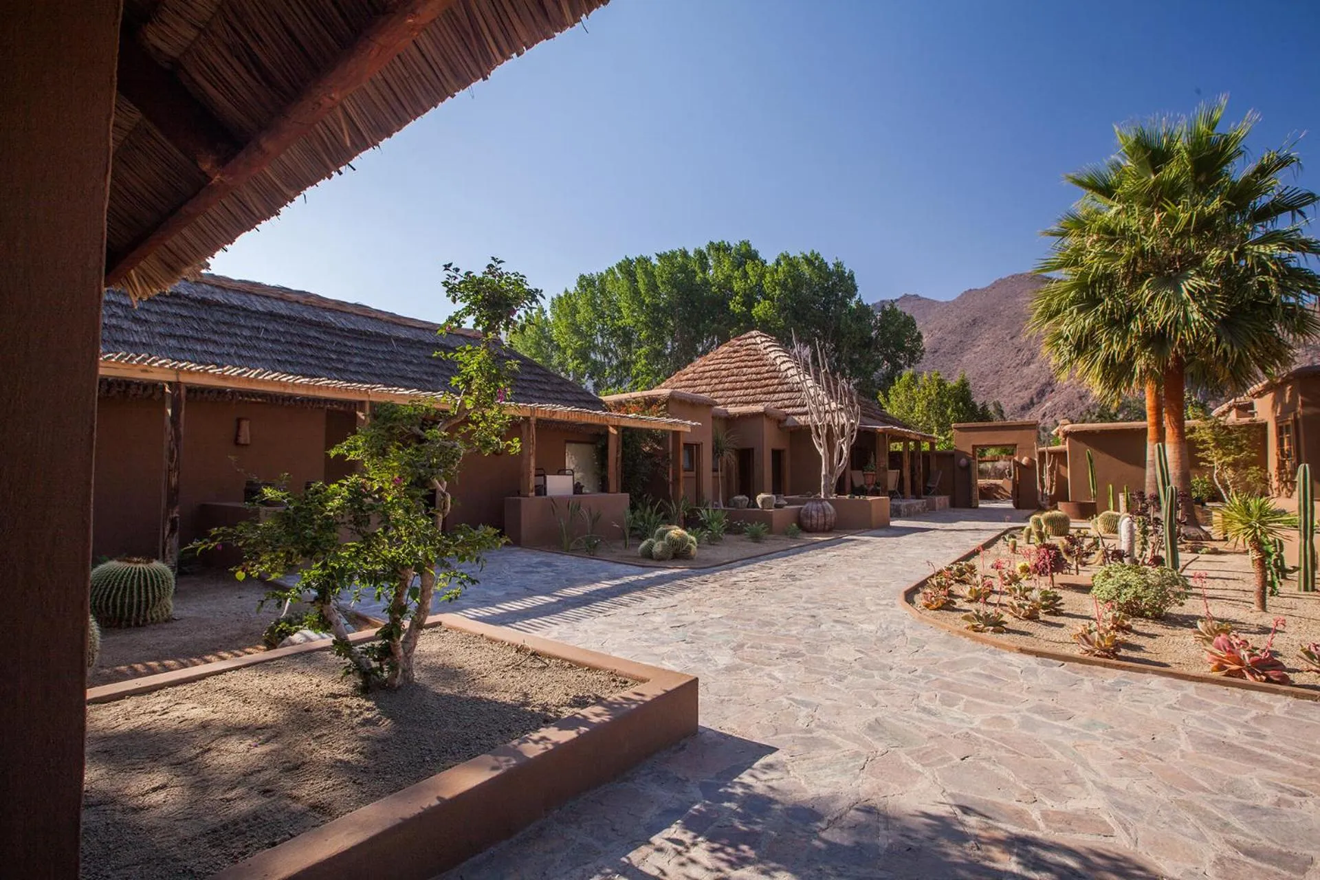 Property building in CasaMolle