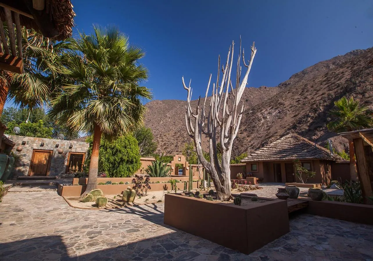 Inner courtyard view in CasaMolle