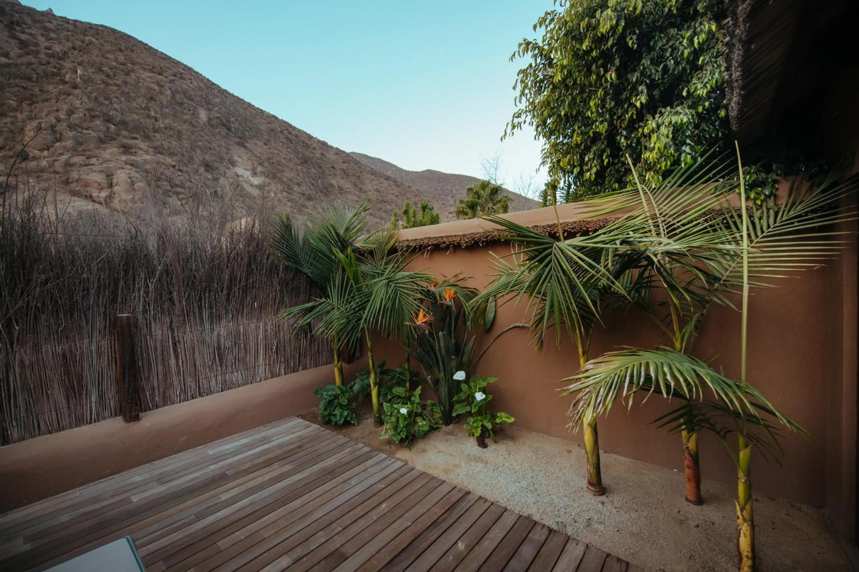 Balcony/Terrace in CasaMolle