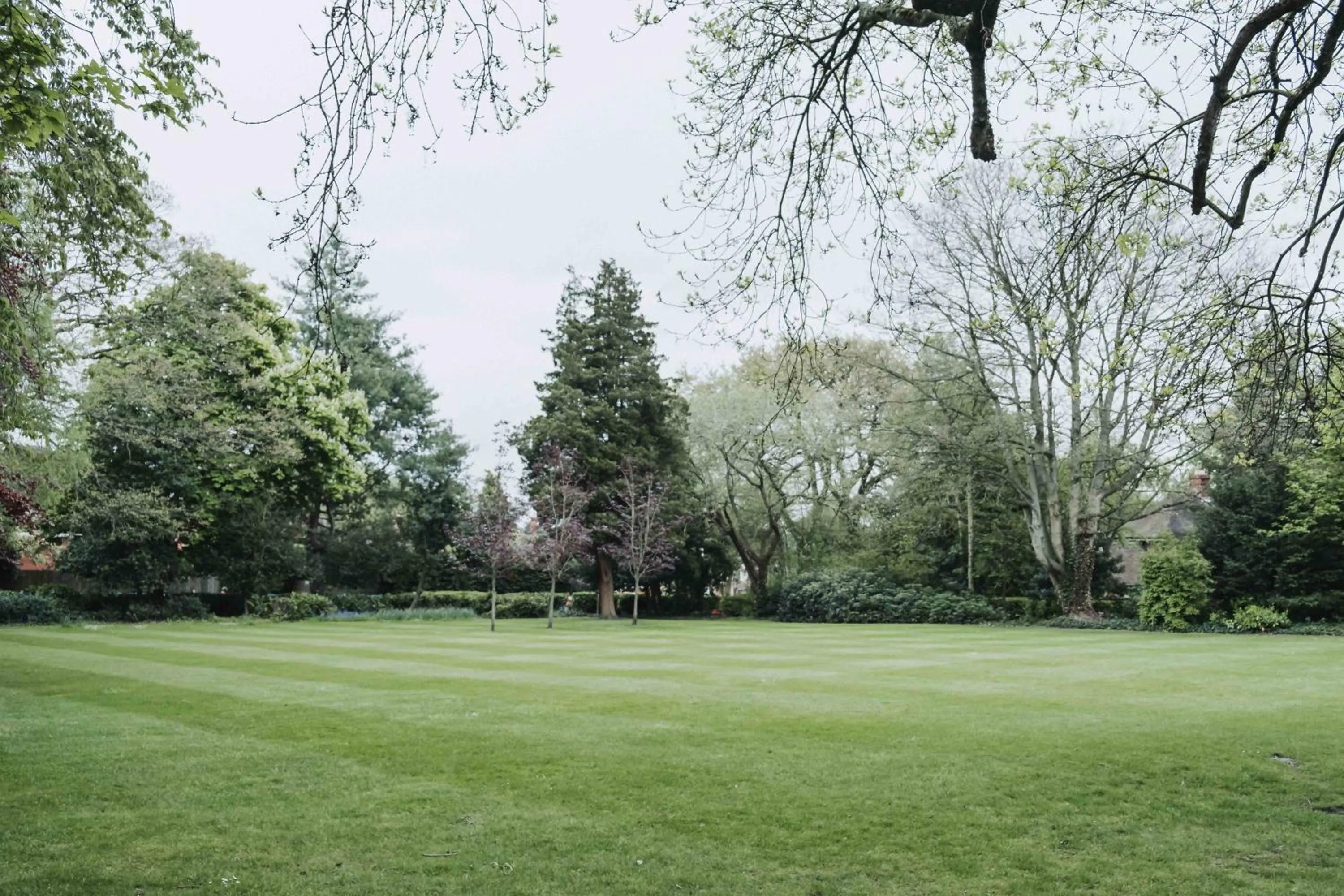 Garden in Edgbaston Park Hotel Birmingham