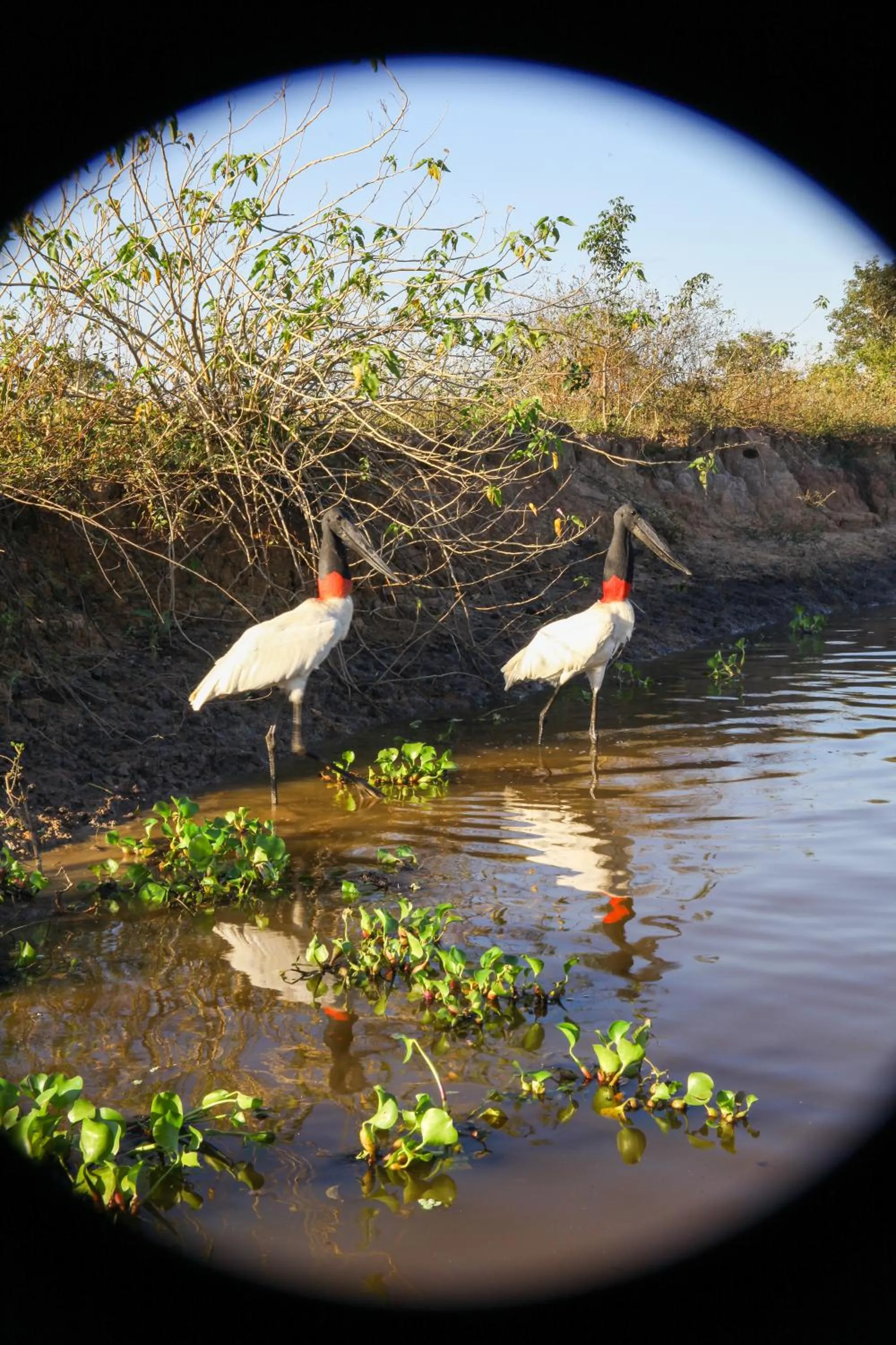 Day in Hotel Pantanal Mato Grosso