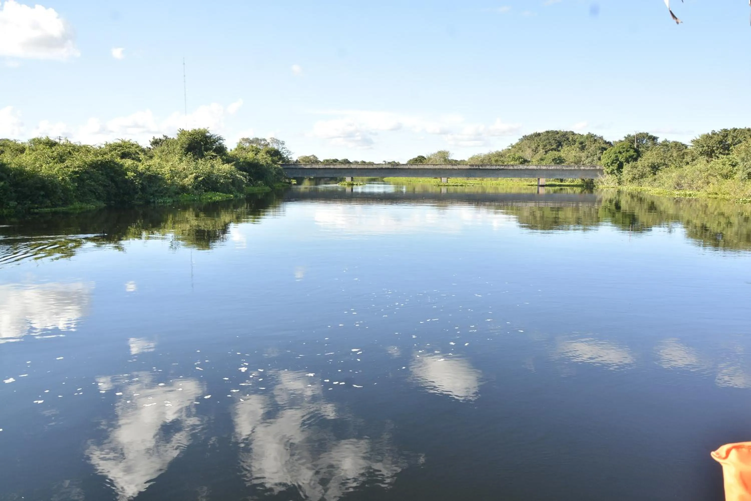 Natural landscape in Hotel Pantanal Mato Grosso