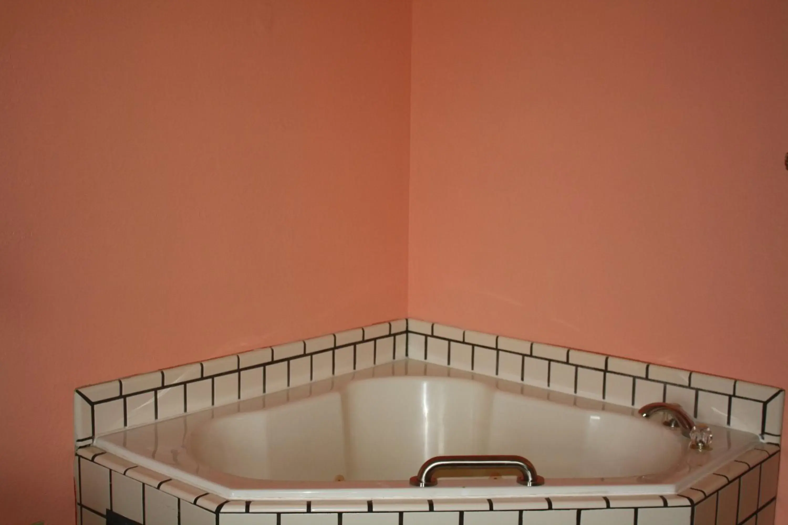 View (from property/room) in Executive Inn and Suites Wichita Falls View (from property/room) in Executive Inn and Suites Wichita Falls