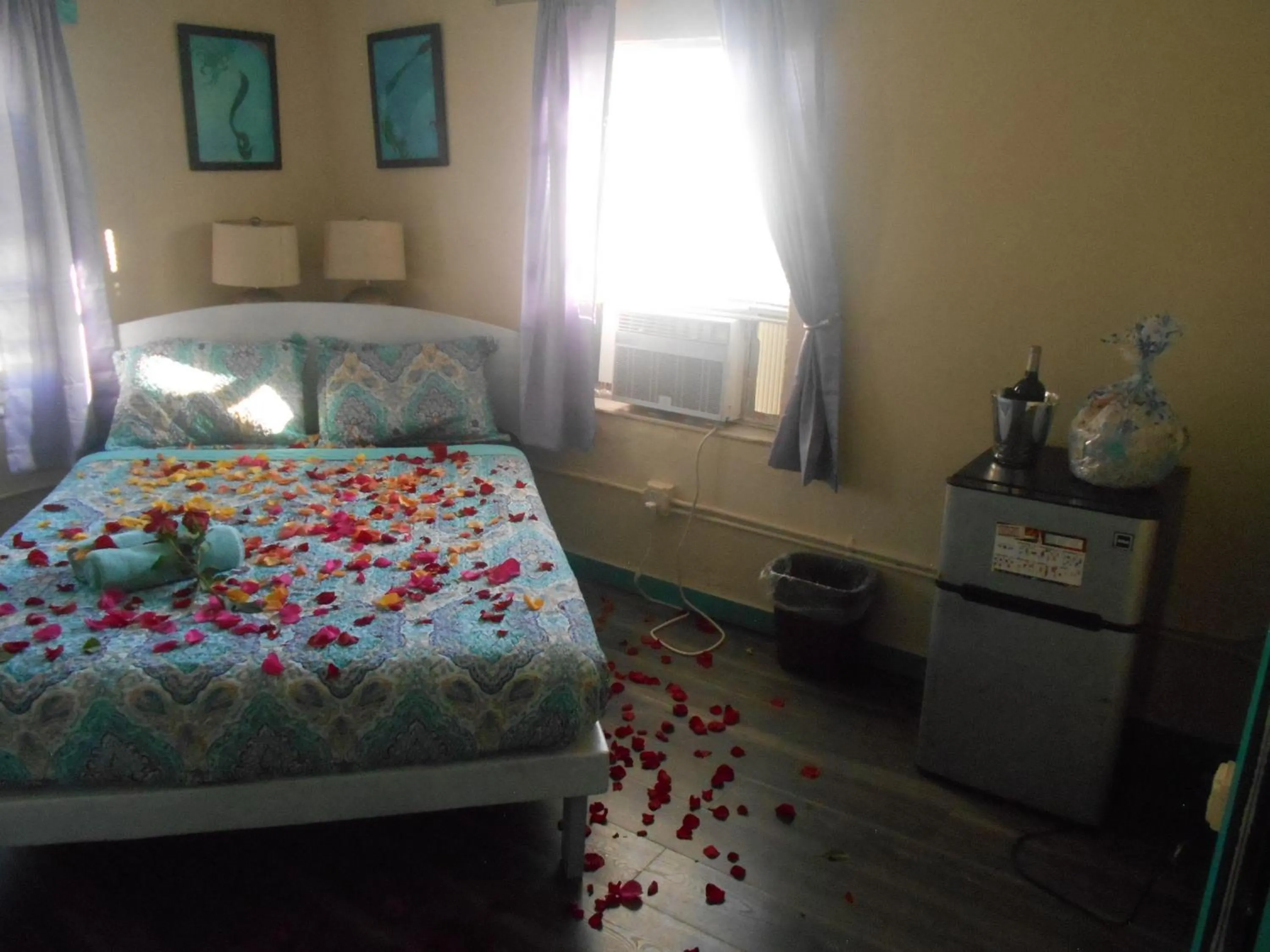 Bed in Hoosville Hostel (Formerly The Everglades Hostel)