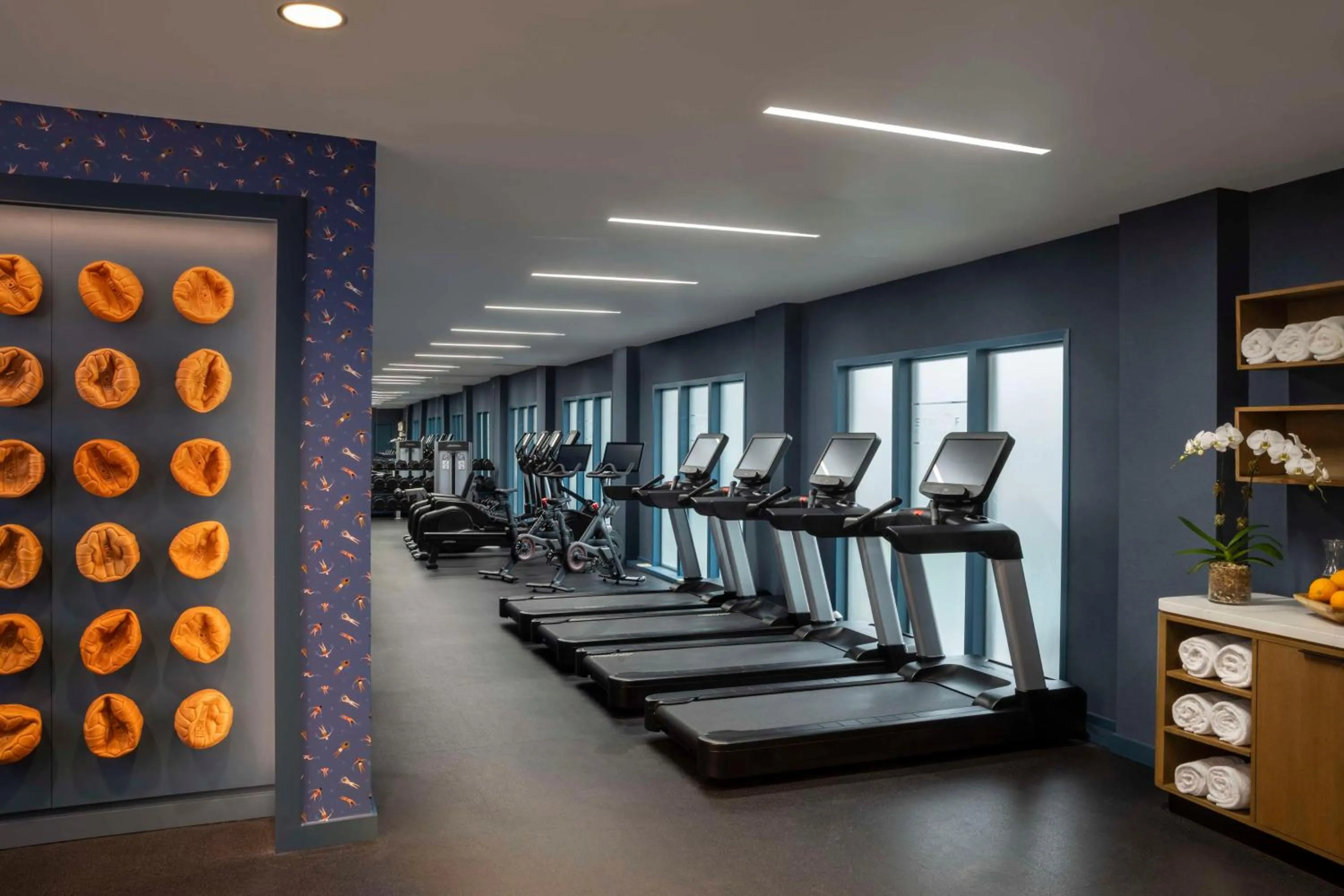 Fitness centre/facilities in Hyatt Regency Greenwich