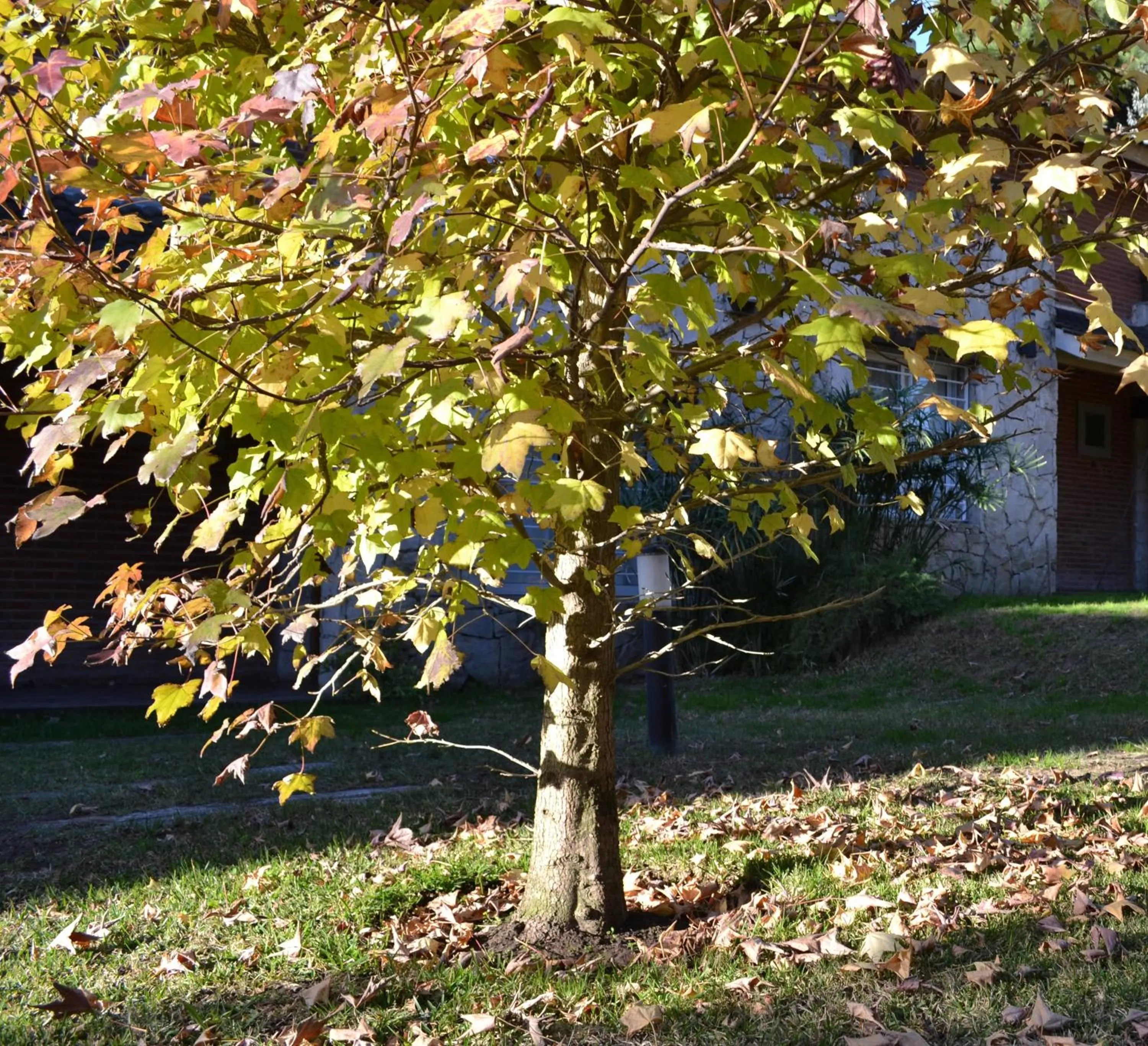 Facade/entrance in Valeria House Rental Suites