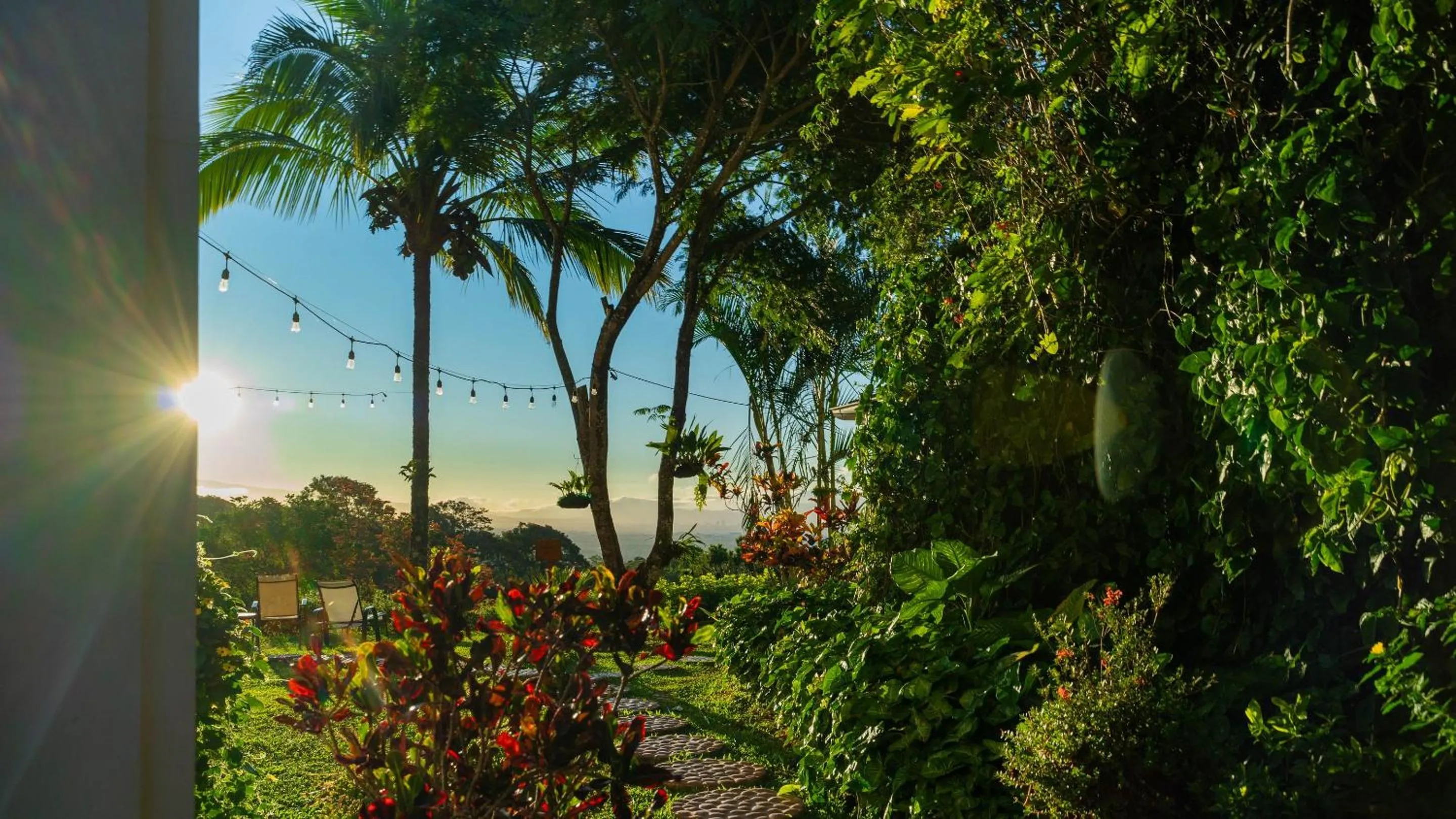 Garden in Buena Vista Chic Hotel