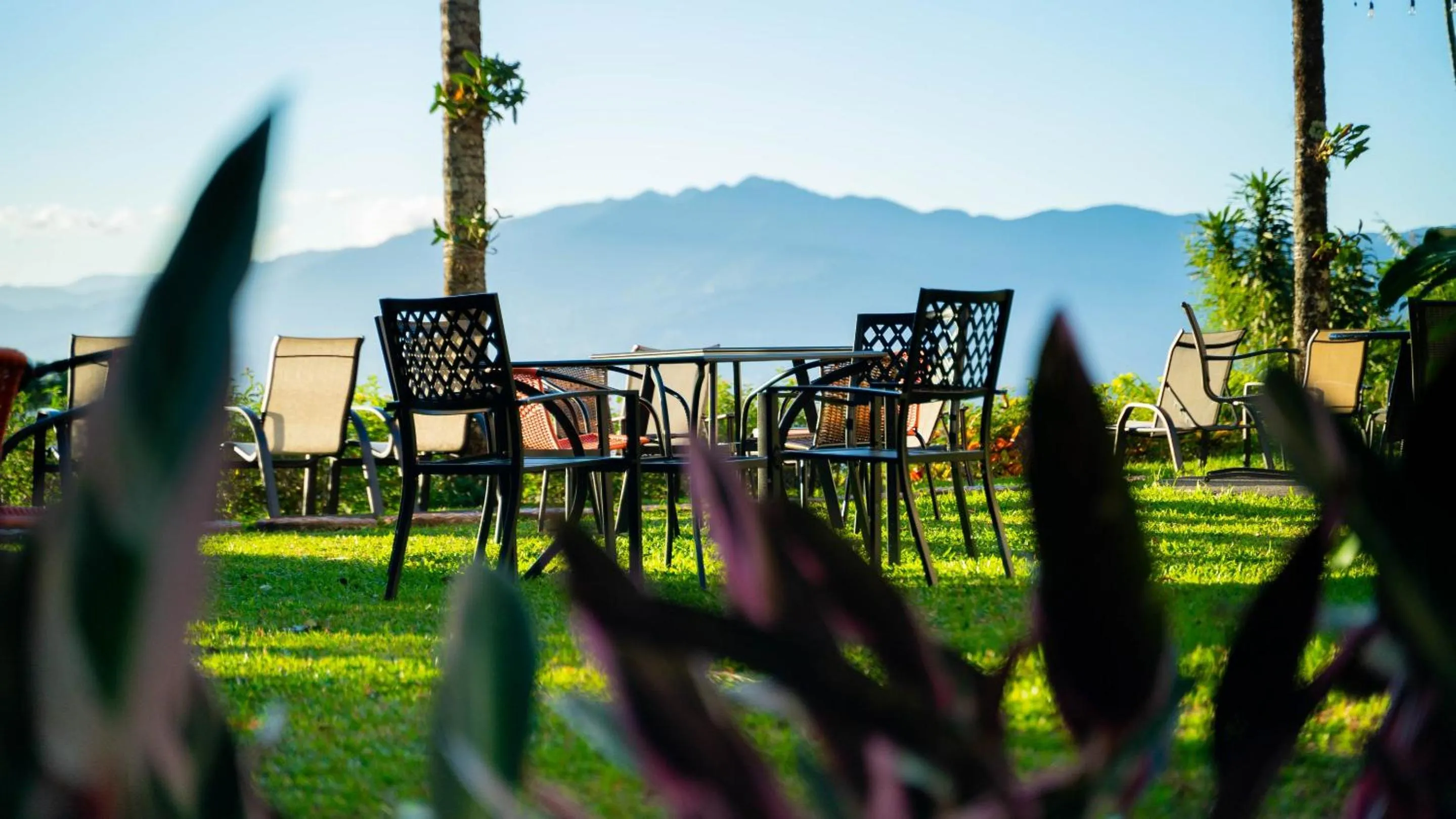 Day in Buena Vista Chic Hotel