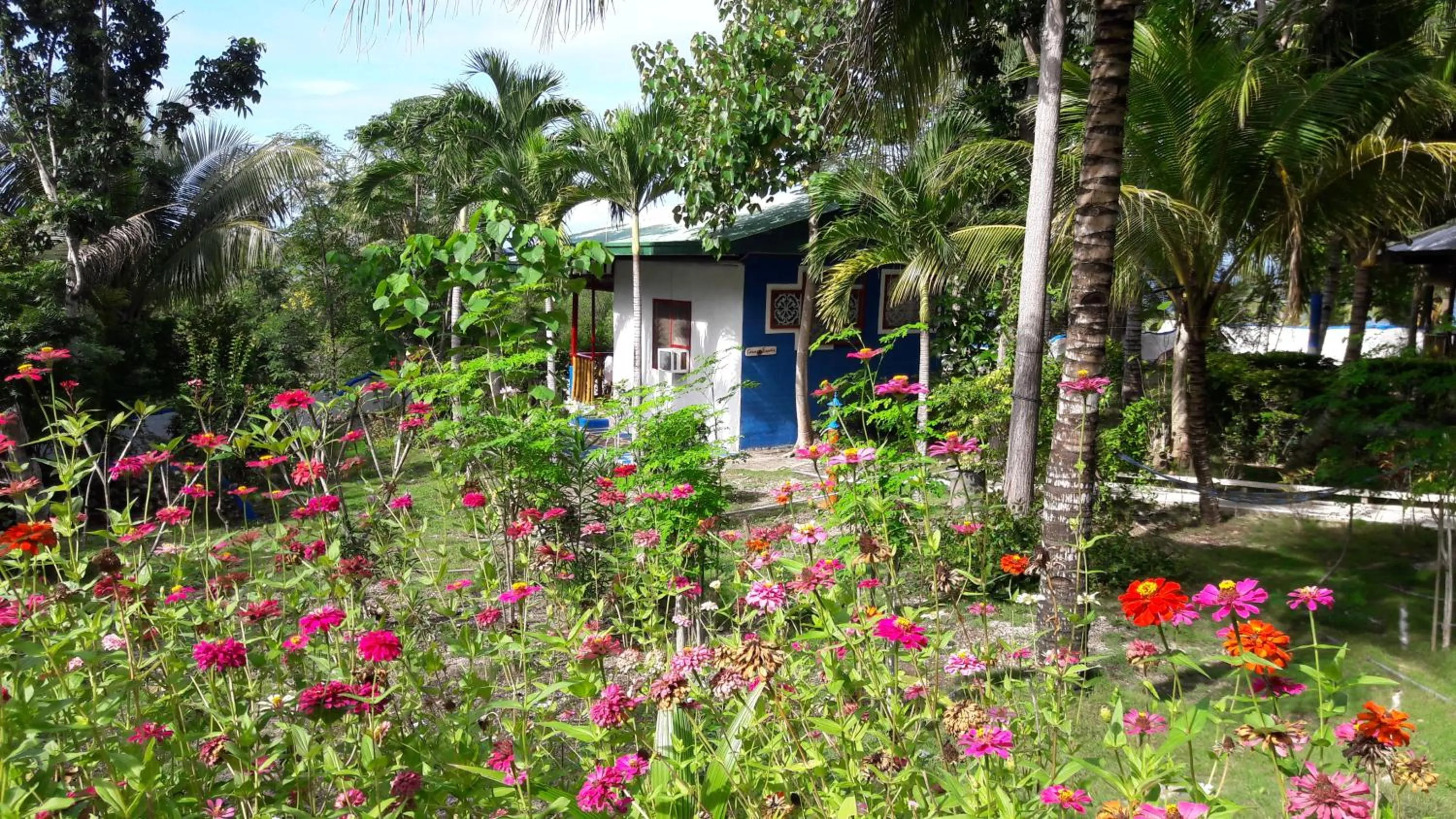 Garden view in Casa de la Playa Beach Resort