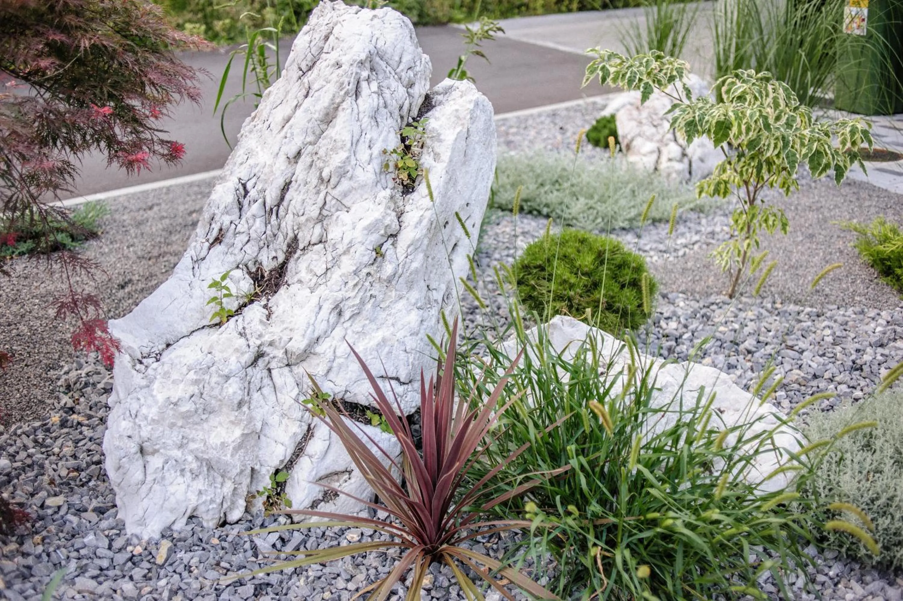 Garden in Apartments Villa Tatiana