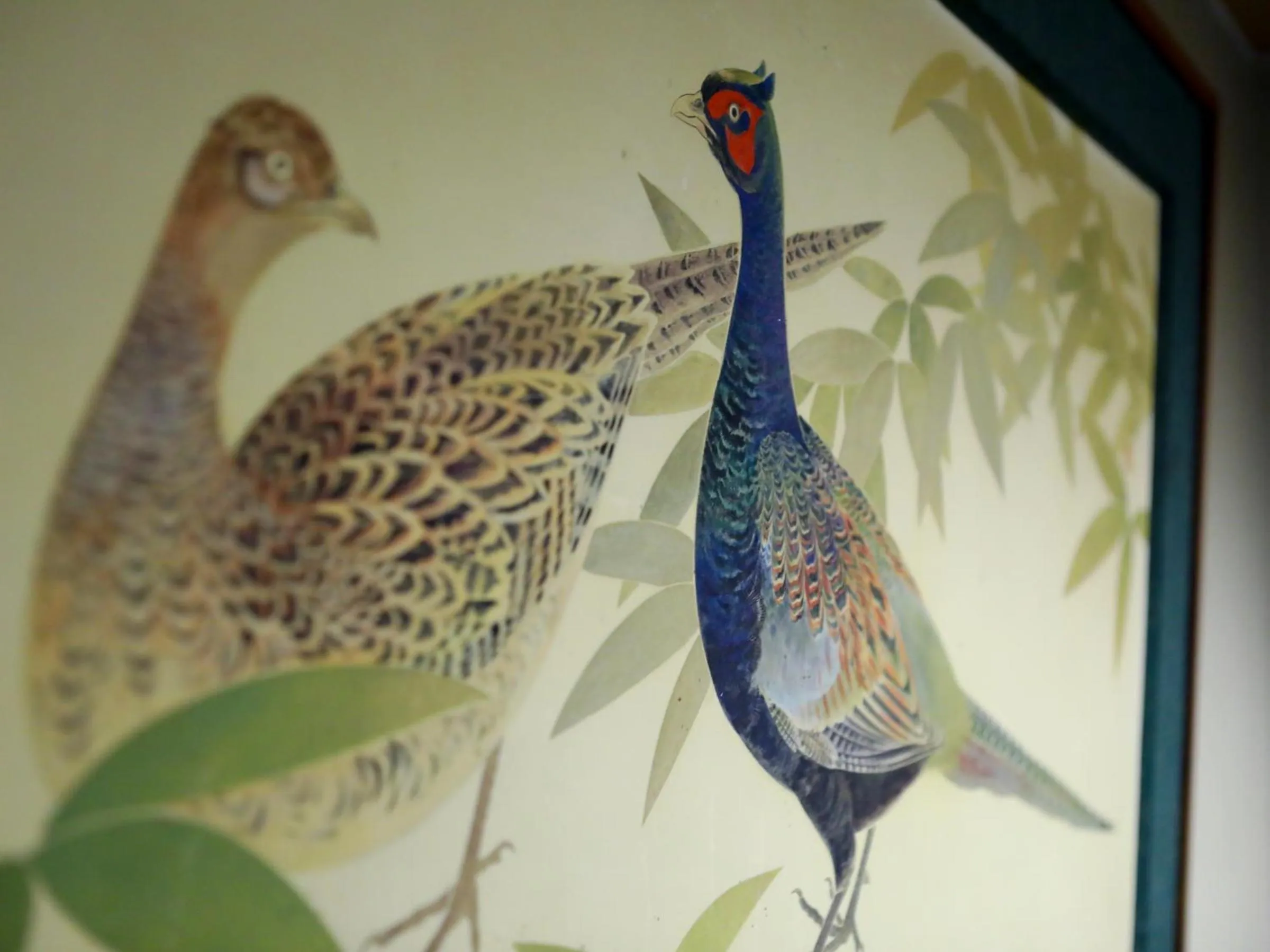 Area and facilities in Hotel Umenoyu