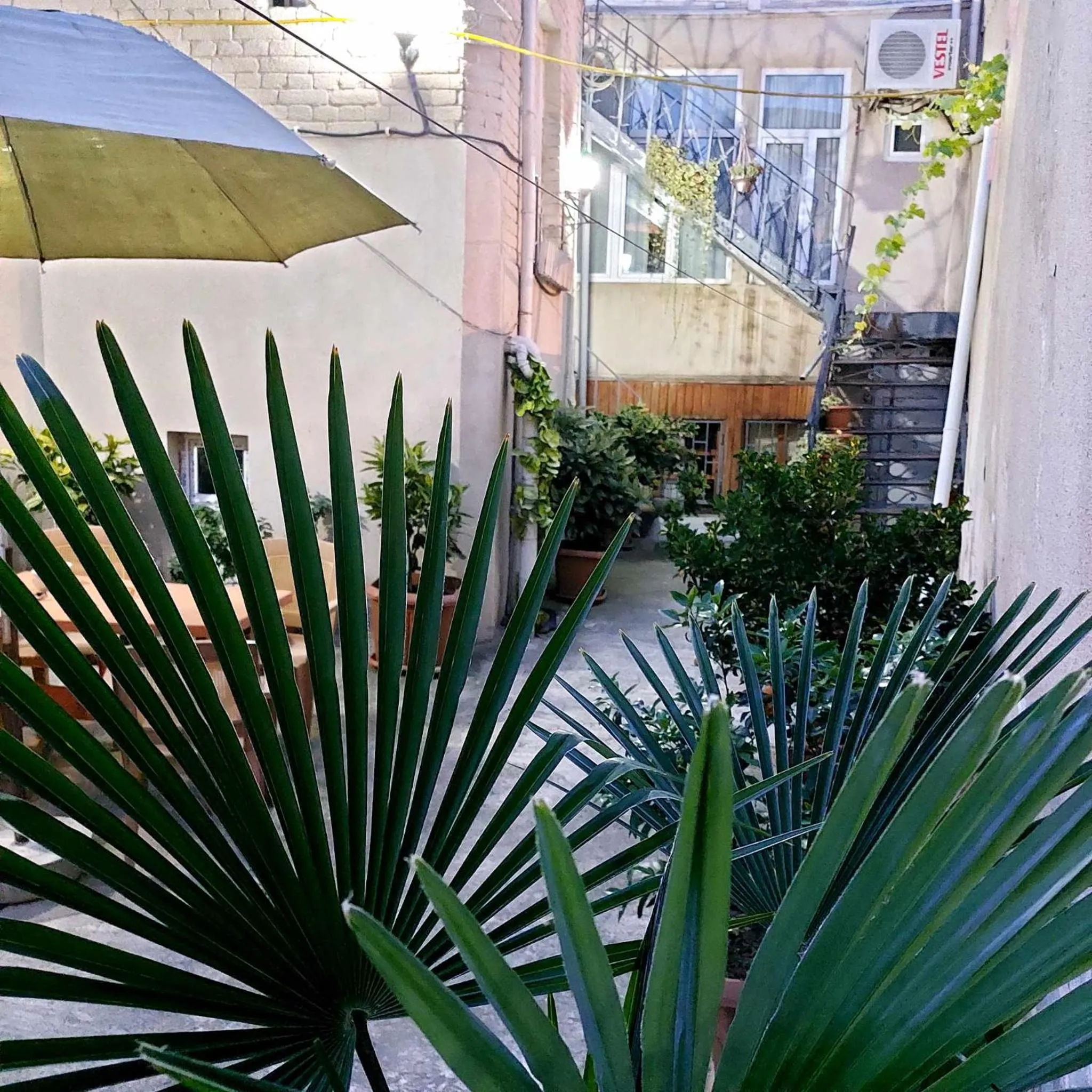 Dodo-Inga's Apartment