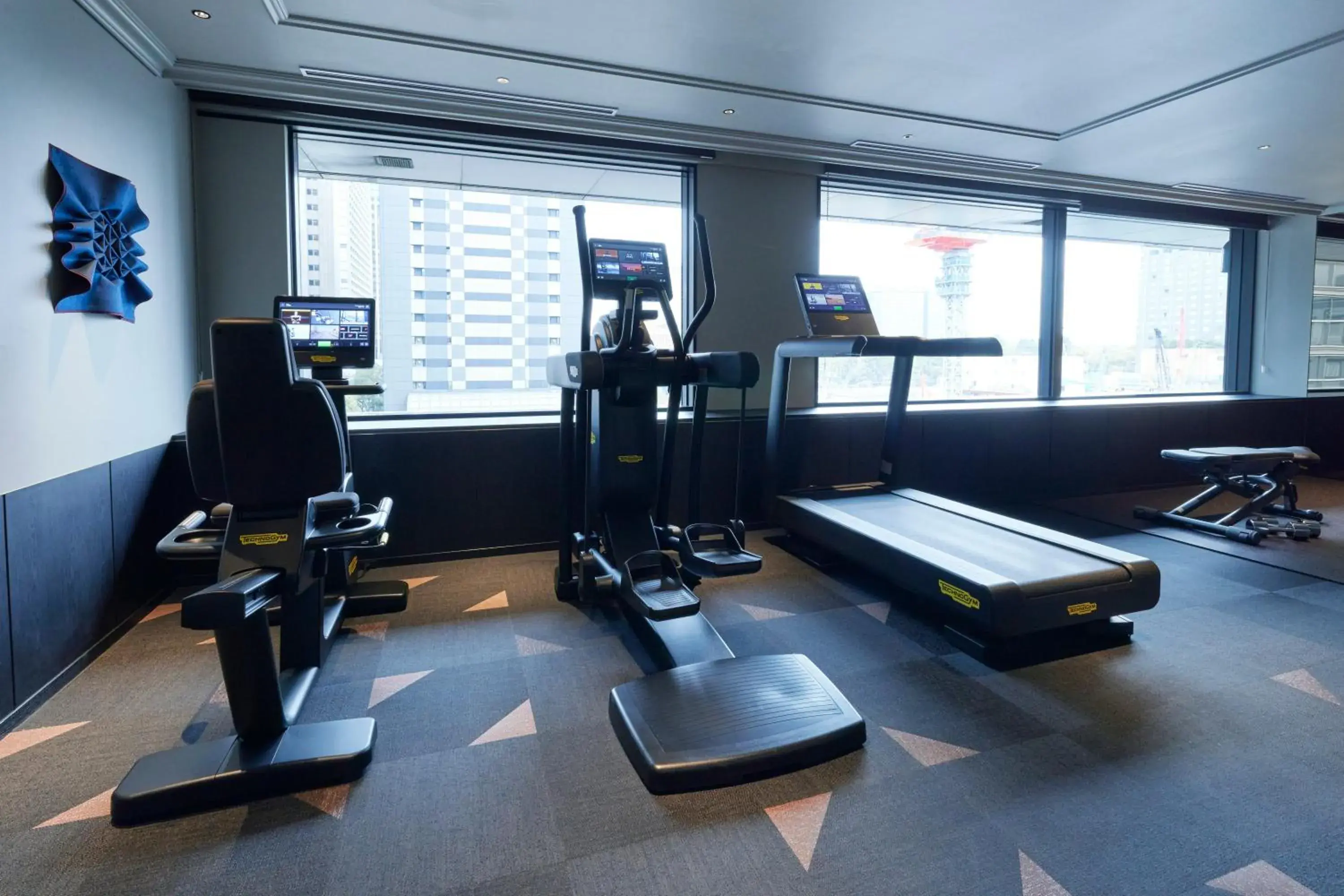 Fitness centre/facilities in Mercure Tokyo Hibiya Fitness centre/facilities in Mercure Tokyo Hibiya