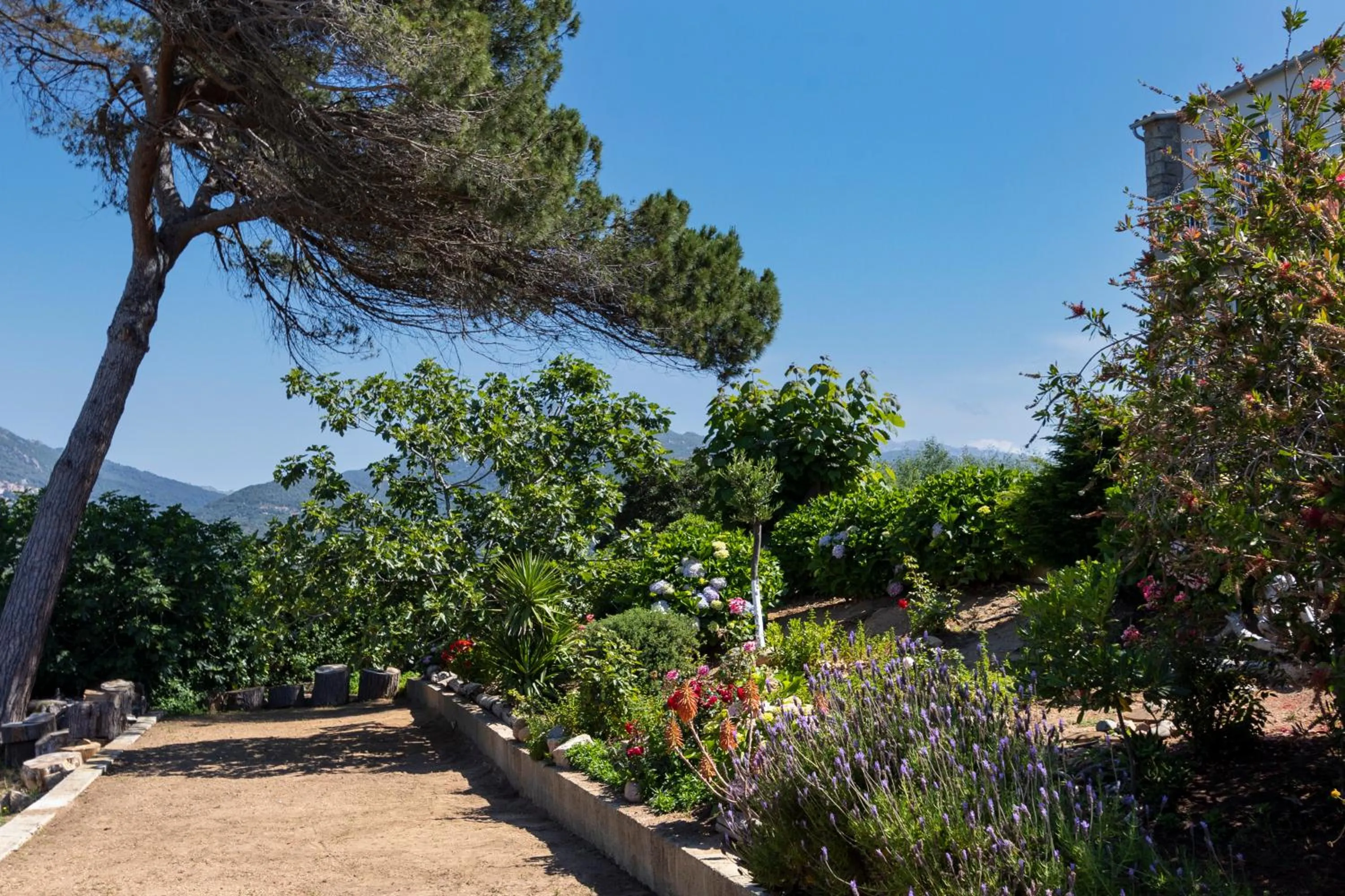 Garden in Hotel Arcu Di Sole