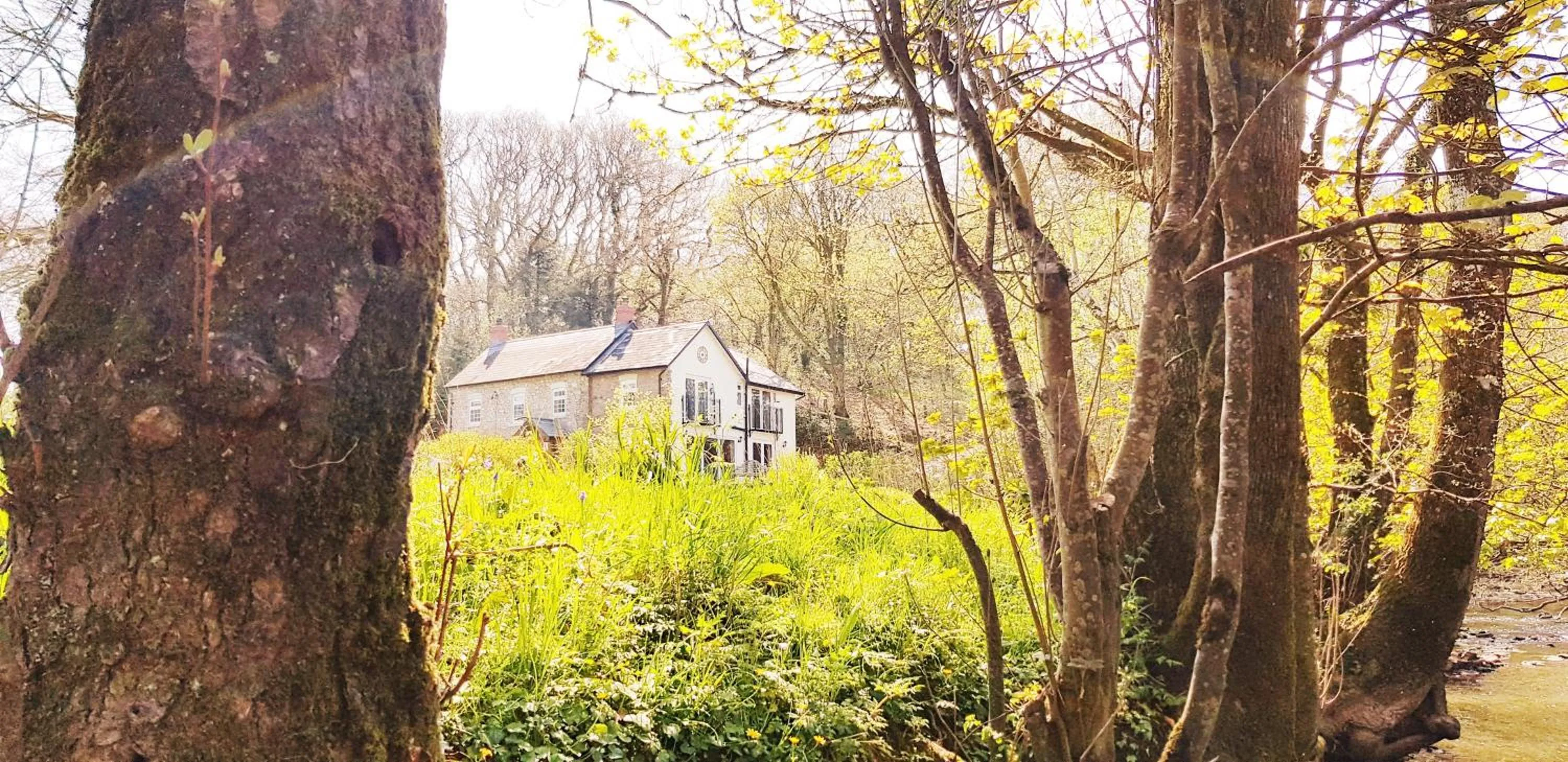 Natural landscape in Kingsley Cottage