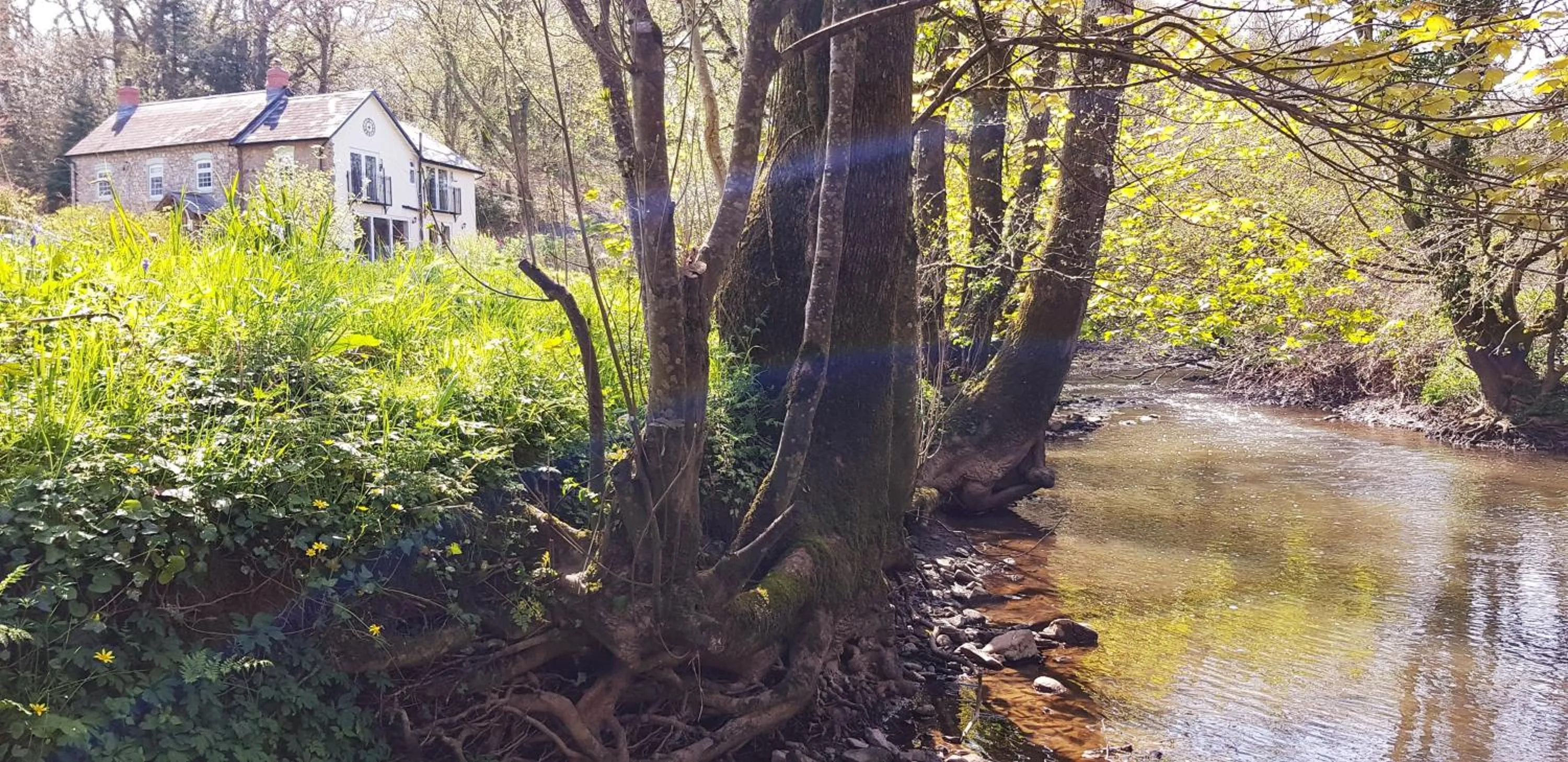Natural landscape in Kingsley Cottage
