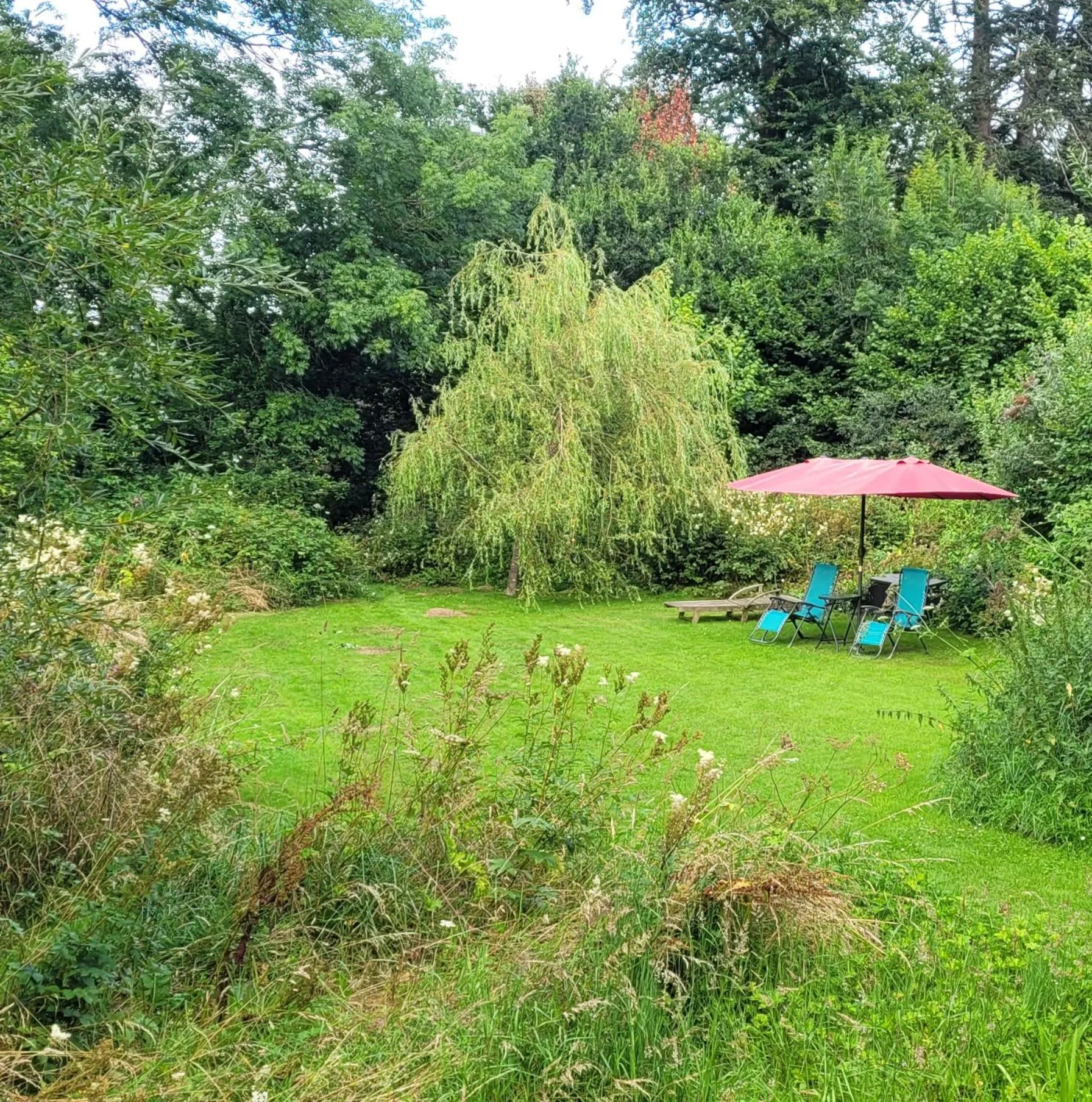 Garden in Kingsley Cottage