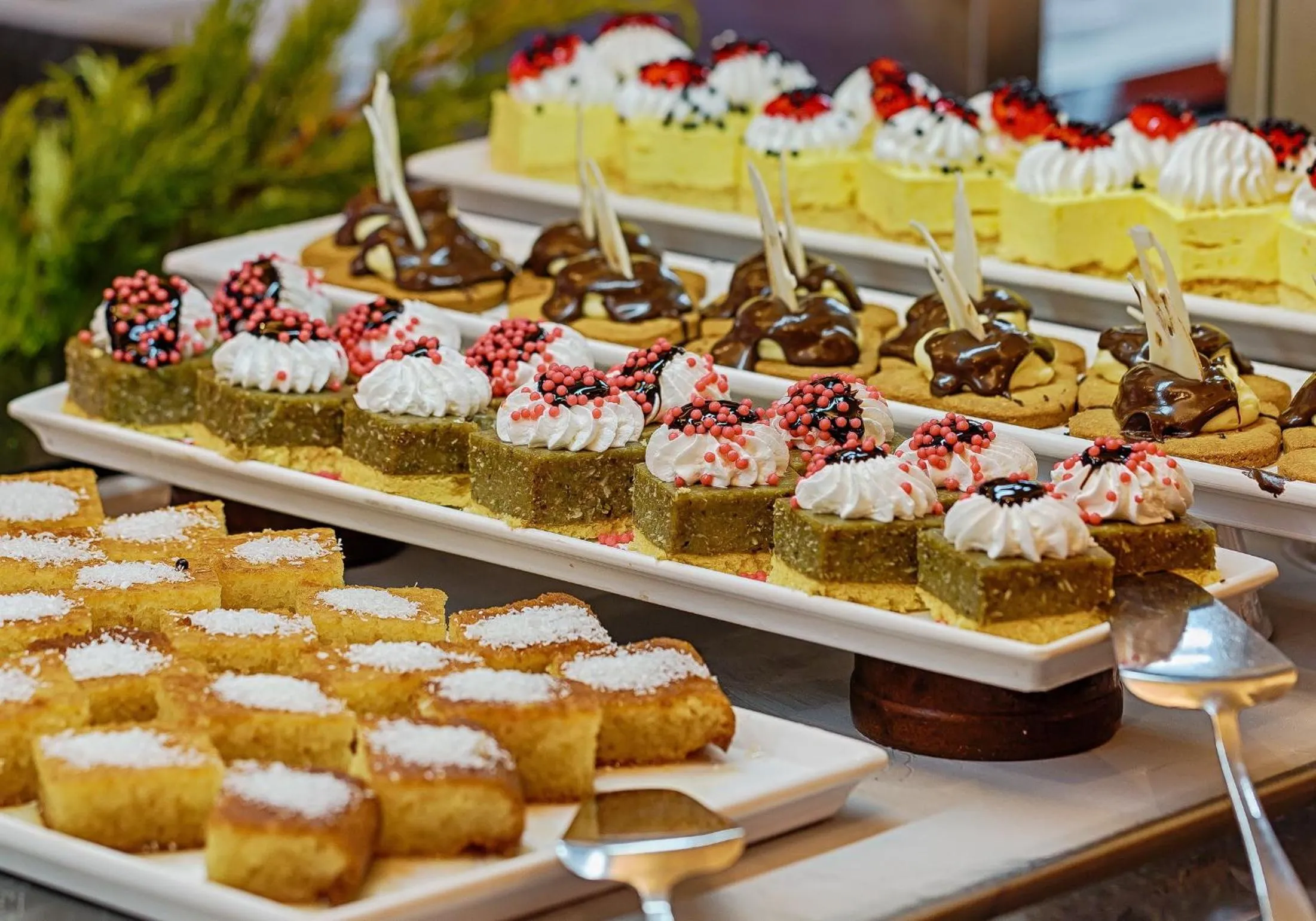 Food close-up in Pasa Beach Hotel