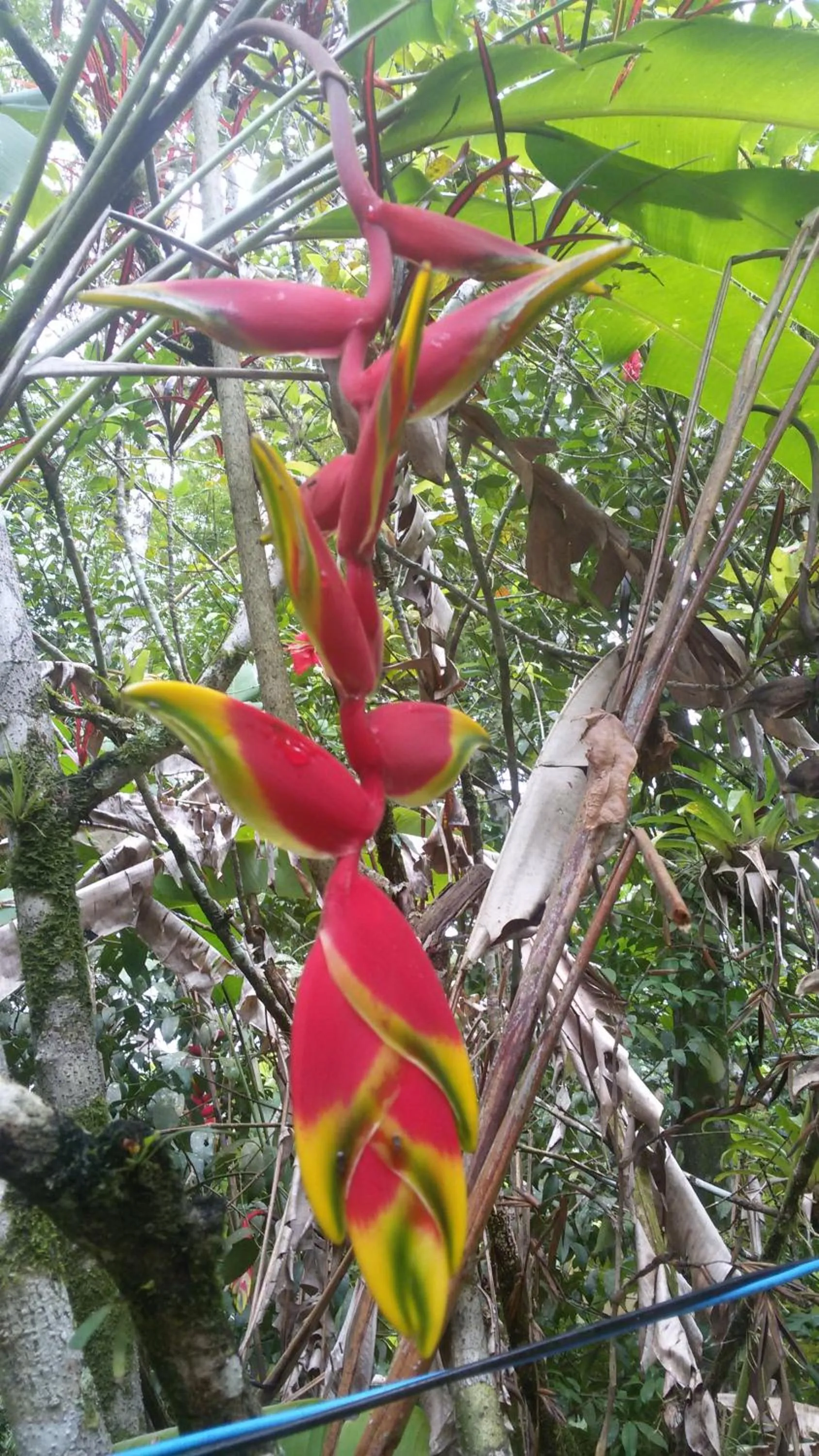 Natural landscape in Casa em condomínio
