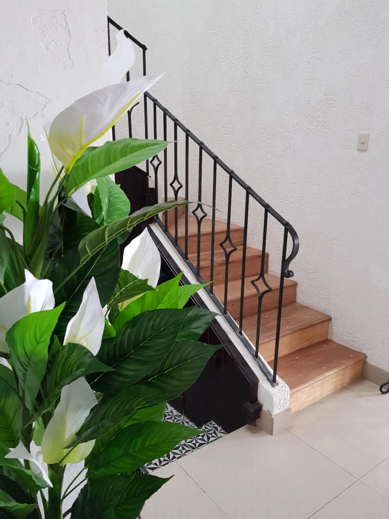 Area and facilities in La Capitanía