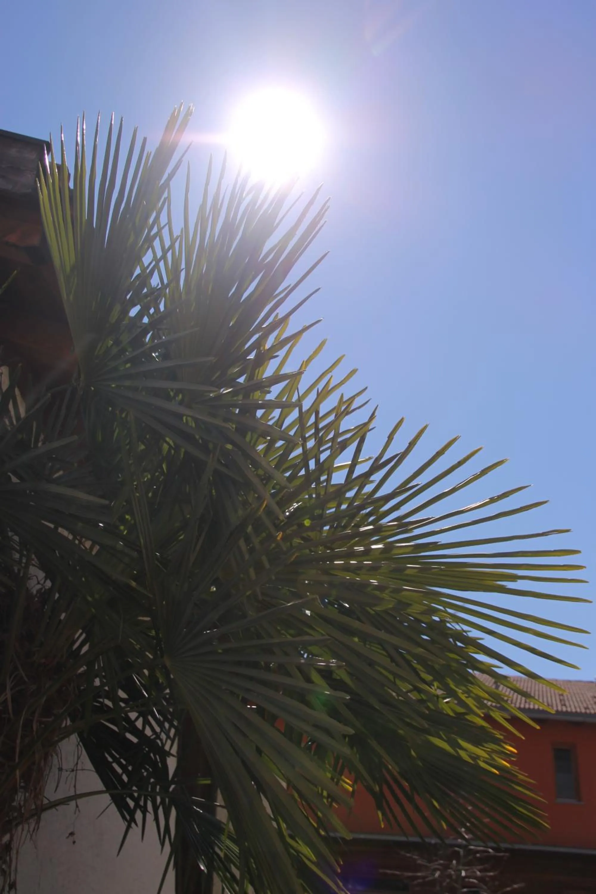Natural landscape in Garni Brunnenhof
