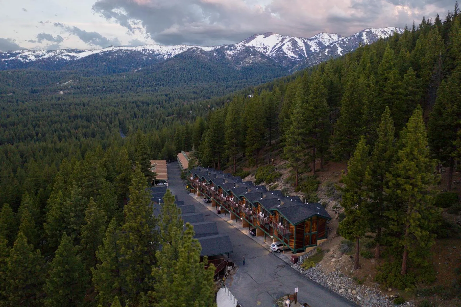 Bird's eye view in Tahoe Chaparral