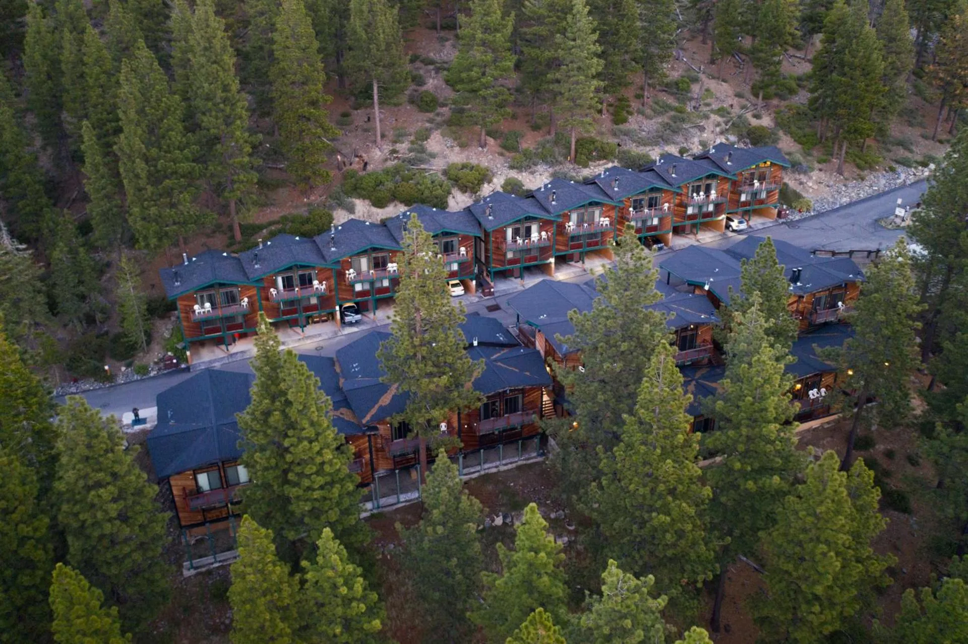 Bird's eye view in Tahoe Chaparral