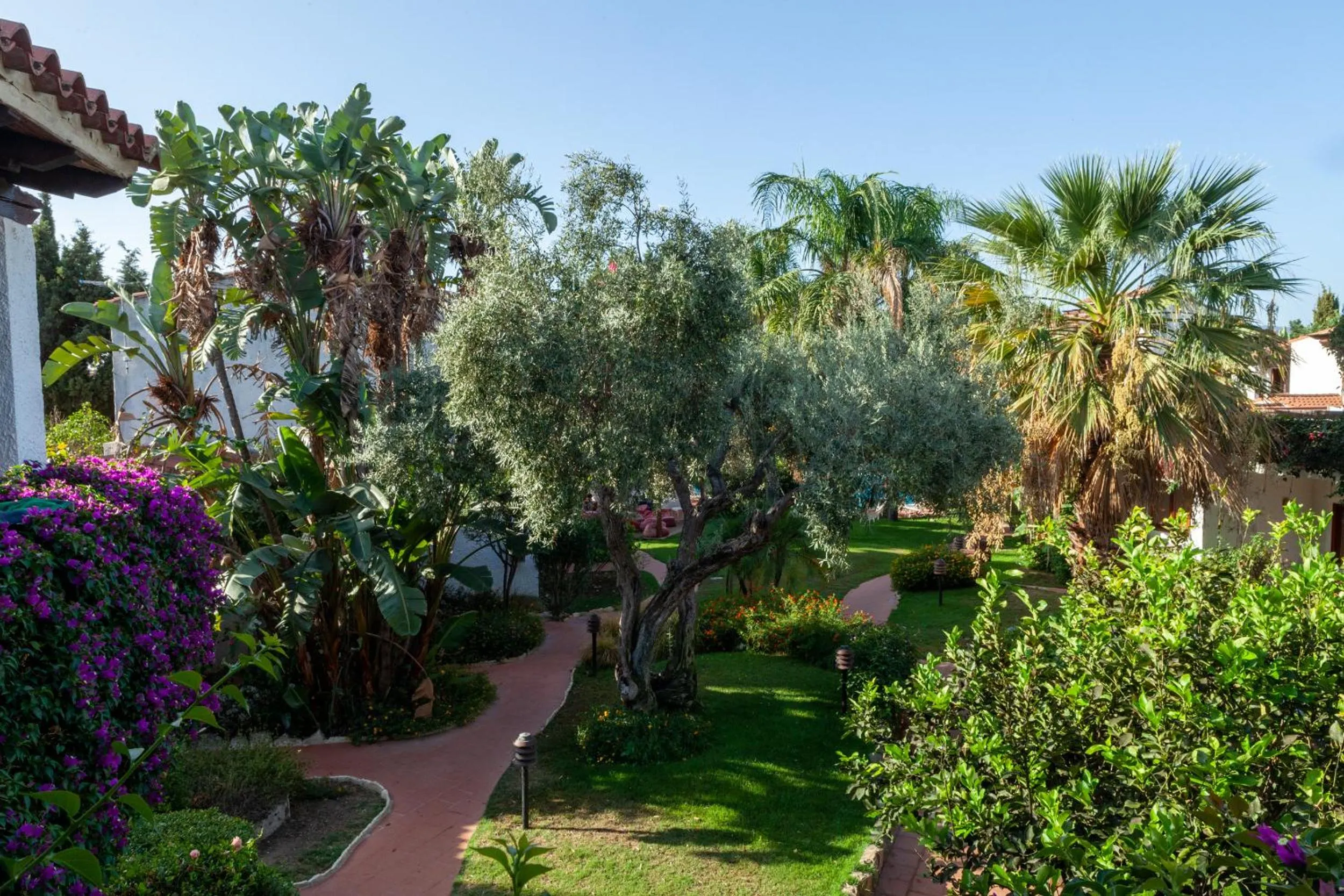 Garden view in Nora Club Hotel & Spa