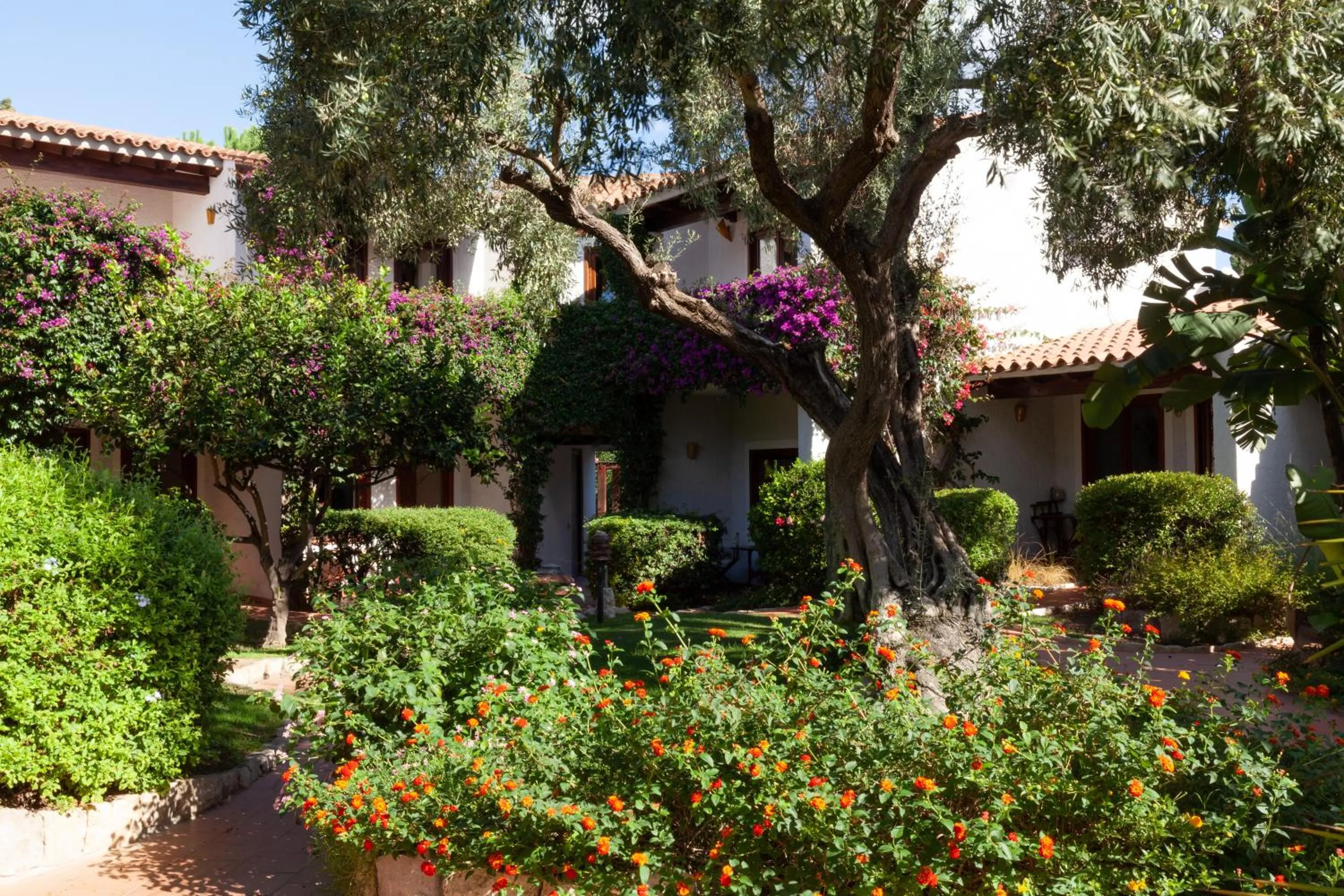 Patio in Nora Club Hotel & Spa