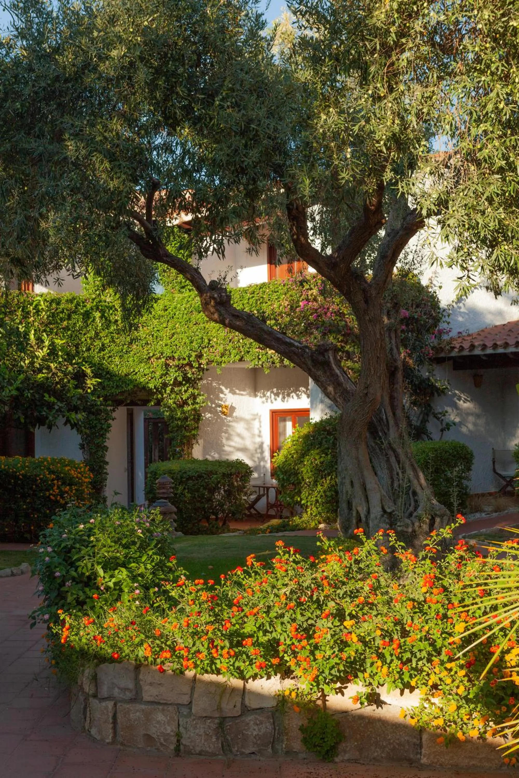 Garden view in Nora Club Hotel & Spa